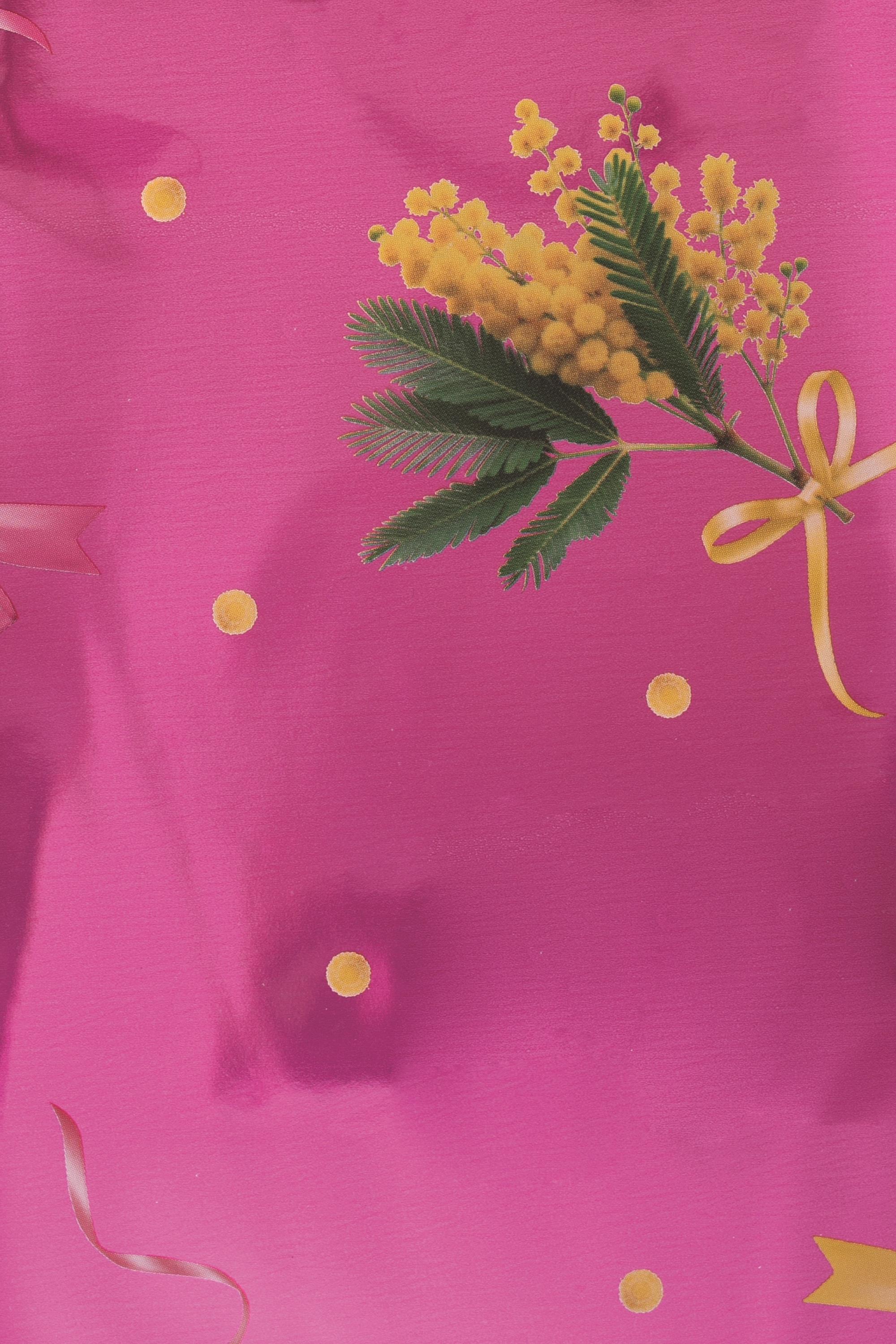 CONI 100 PZ 17X8X30 CM CHANELLE