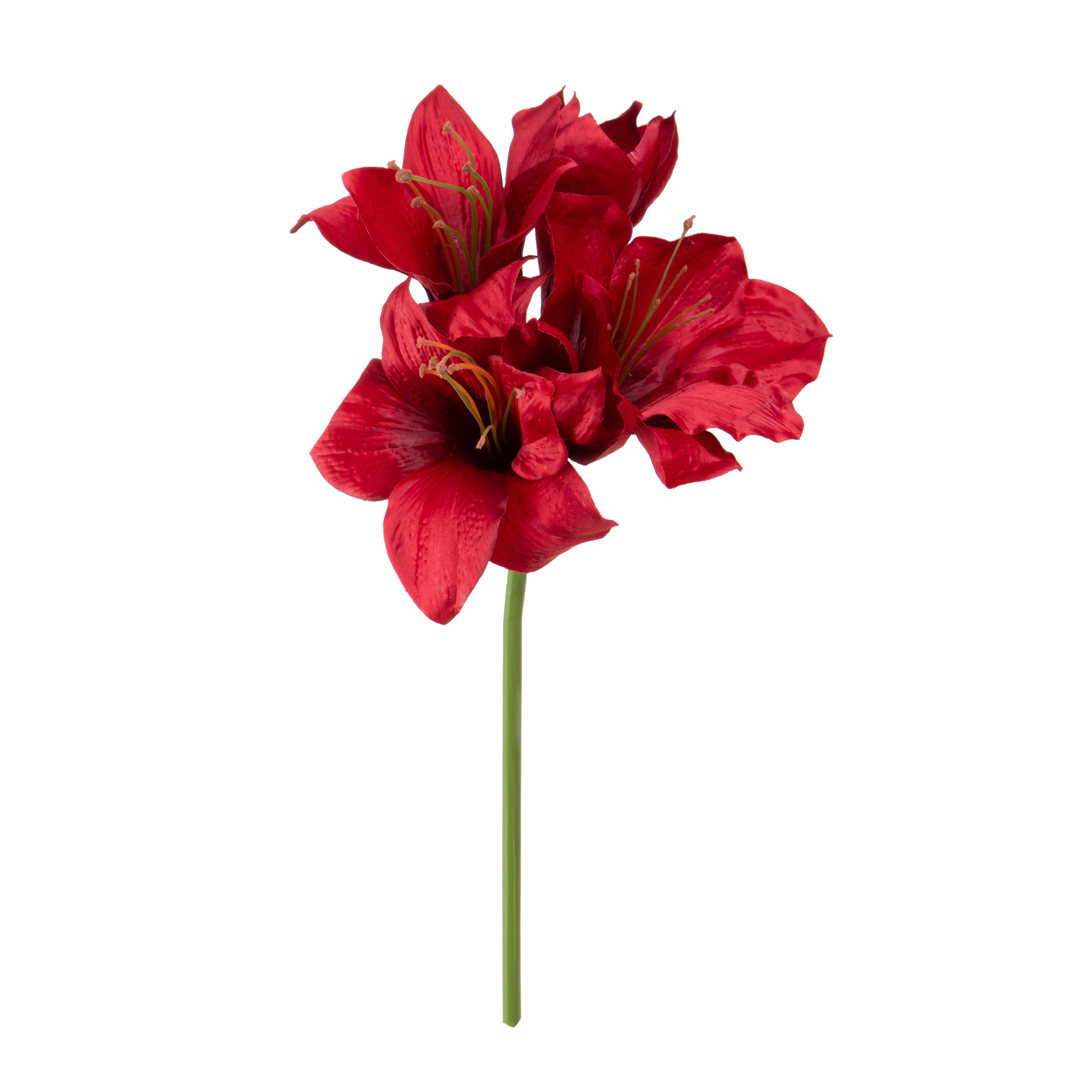 AMARYLLIS 80 CM SINGOLO