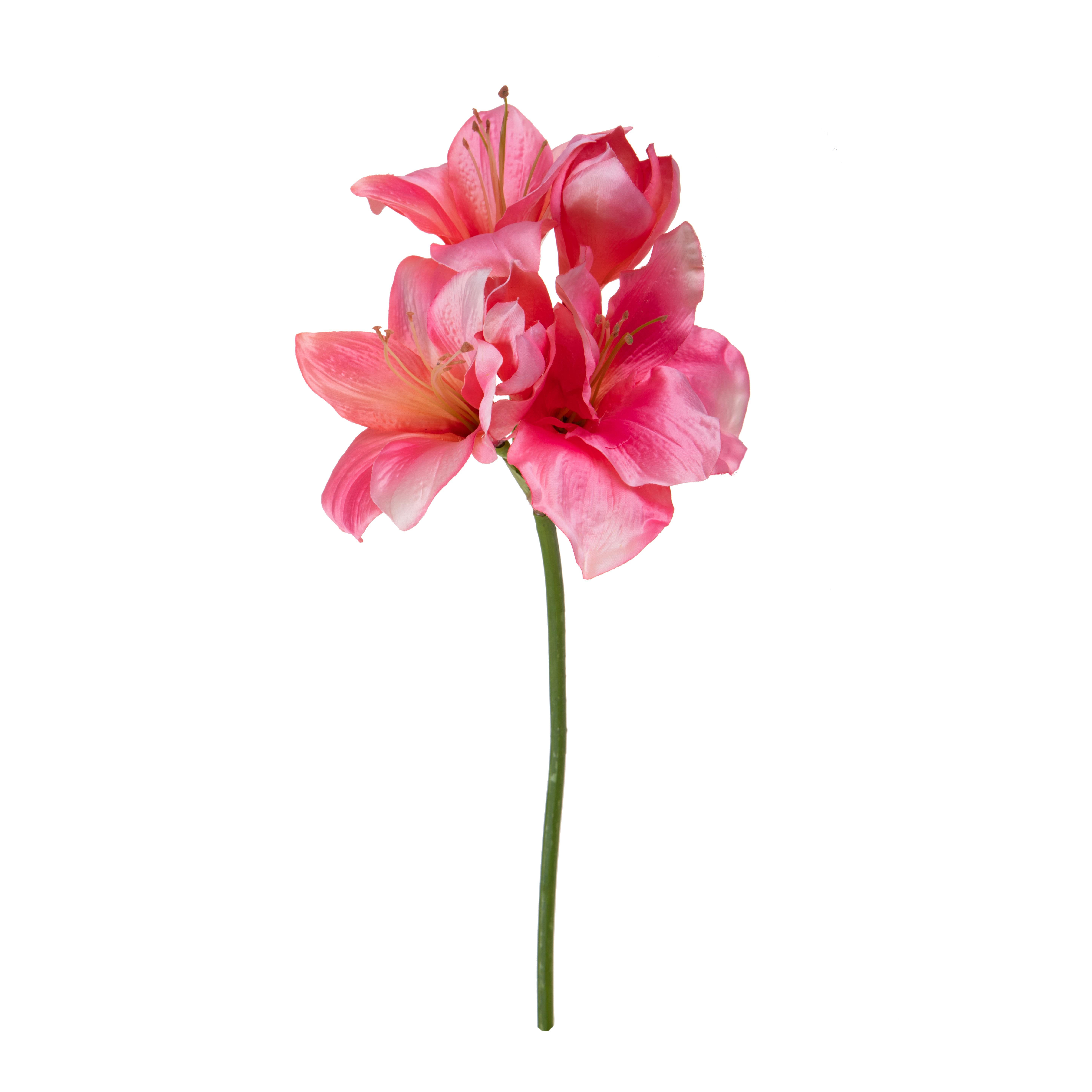 AMARYLLIS 80 CM SINGOLO