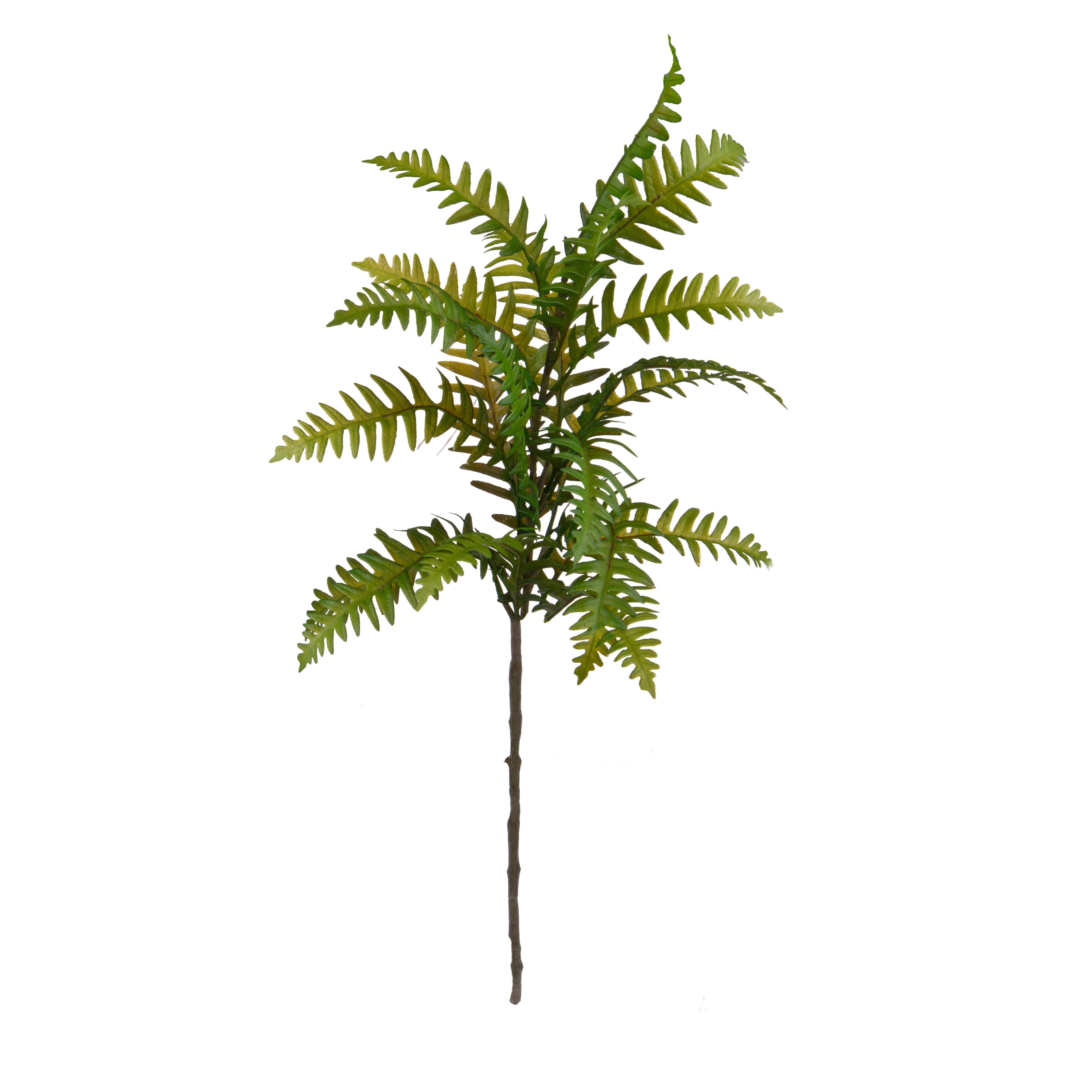 FELCE 104 CM TROPICAL