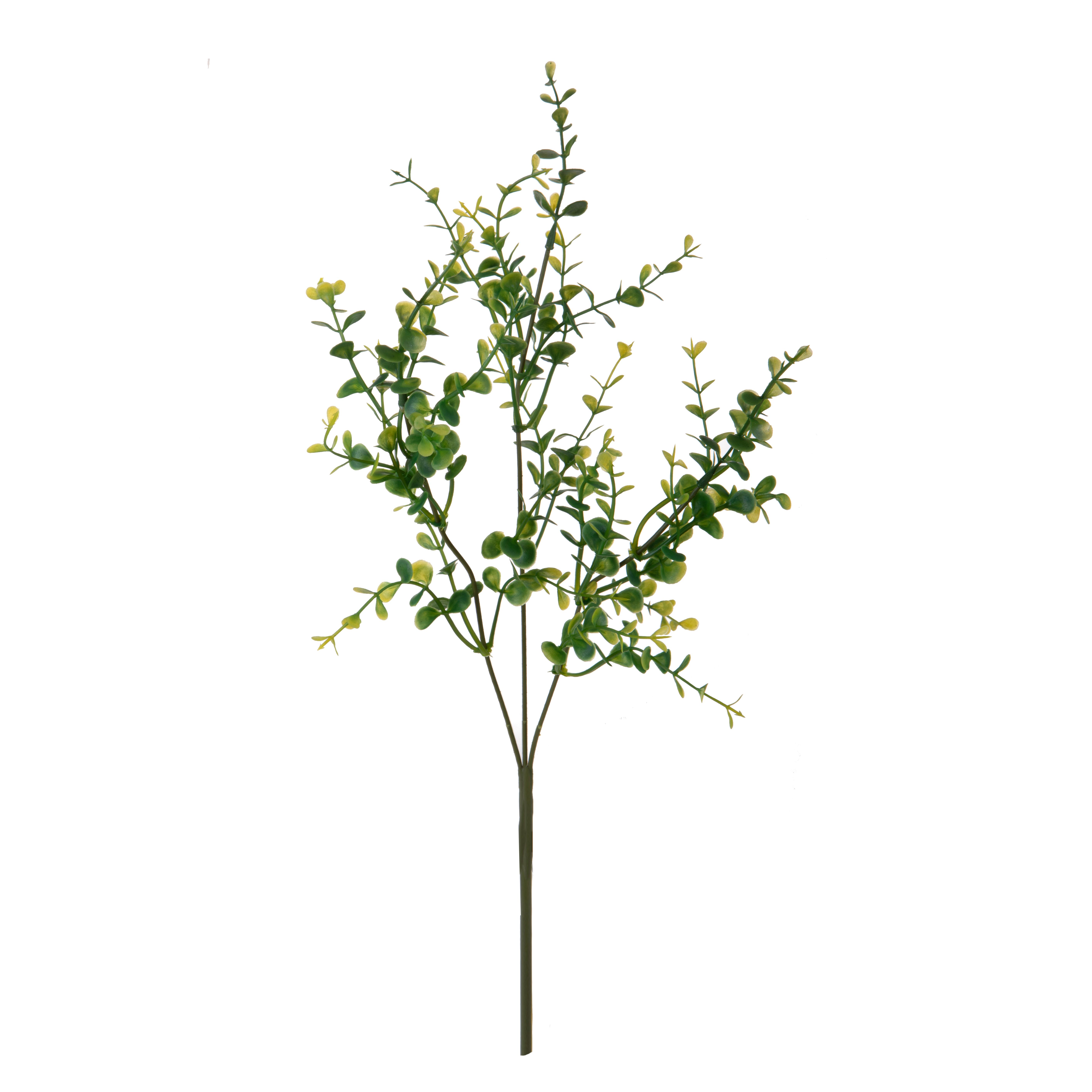MINI EUCALYPTUS 65 CM