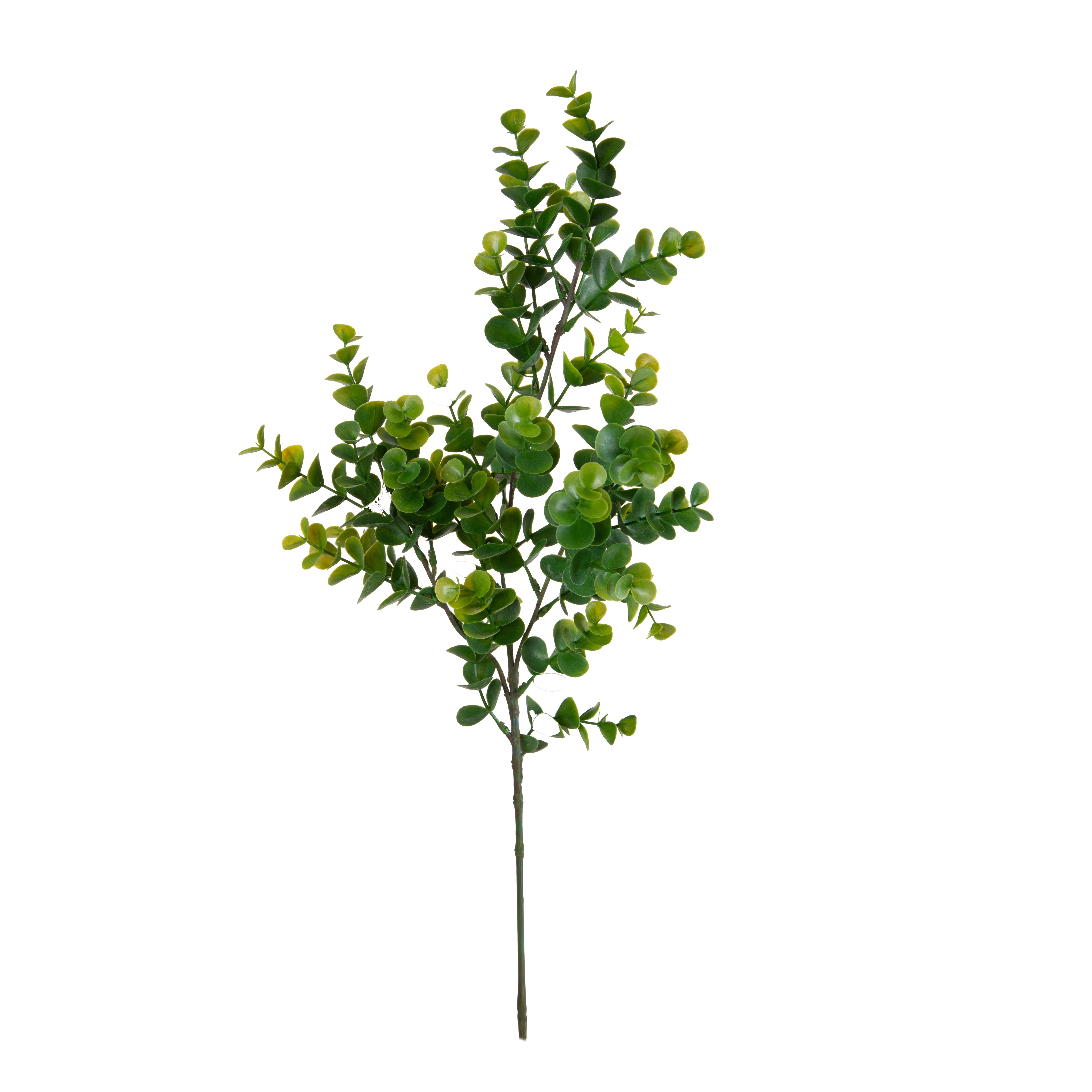 EUCALIPTO H.66 CM RAMO X3