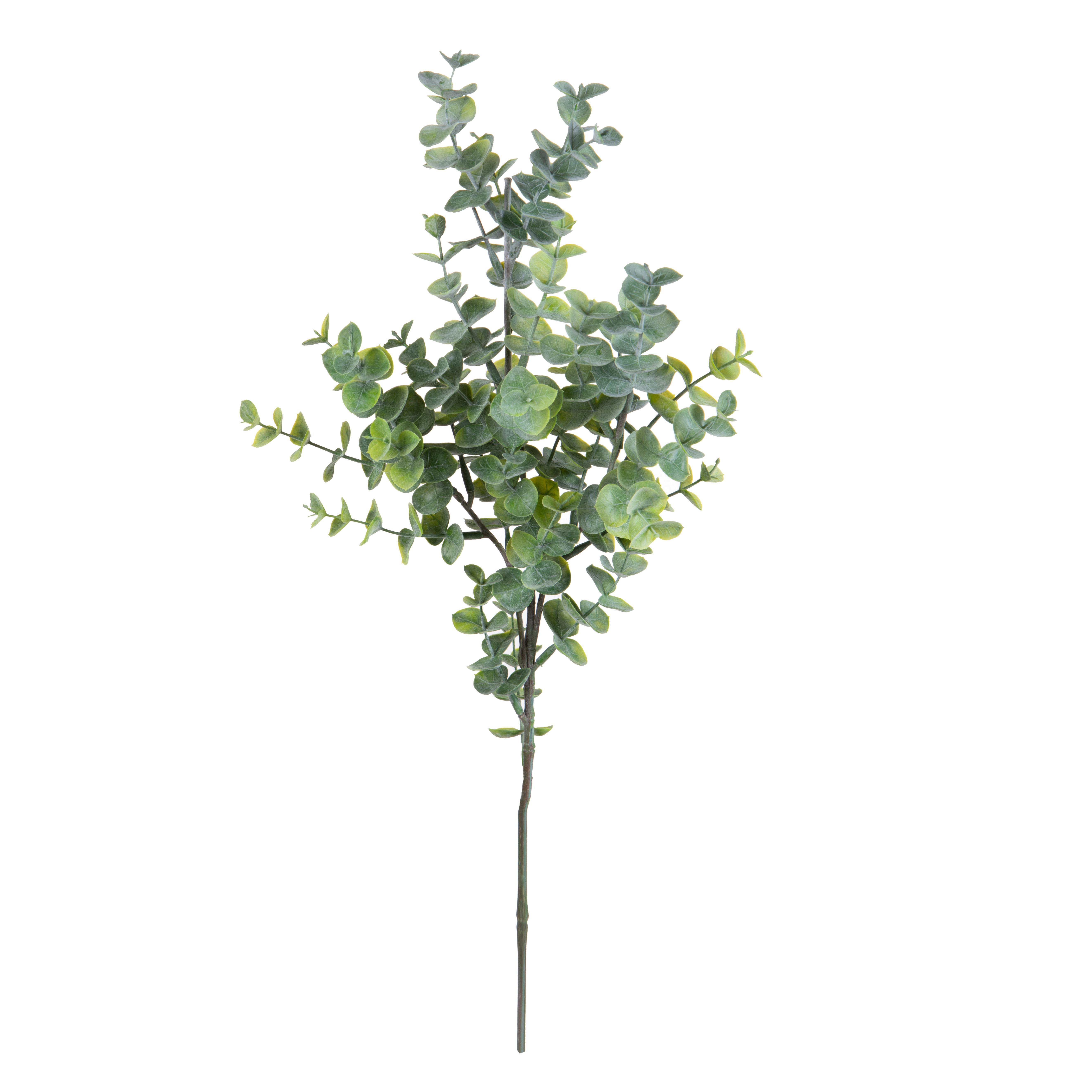 EUCALIPTO H.66 CM RAMO X3