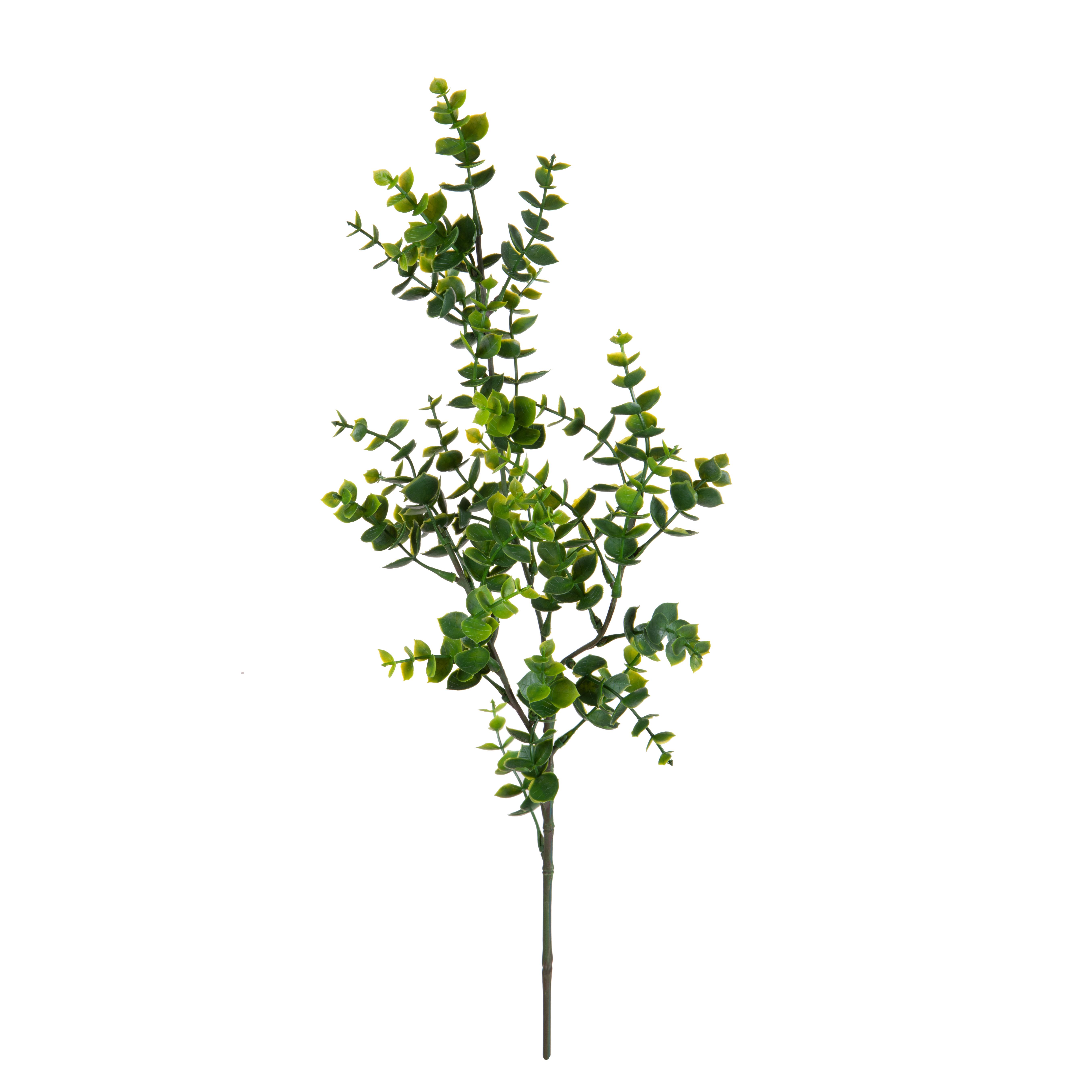 MINI EUCALIPTO H.65 CM X3 RAMI