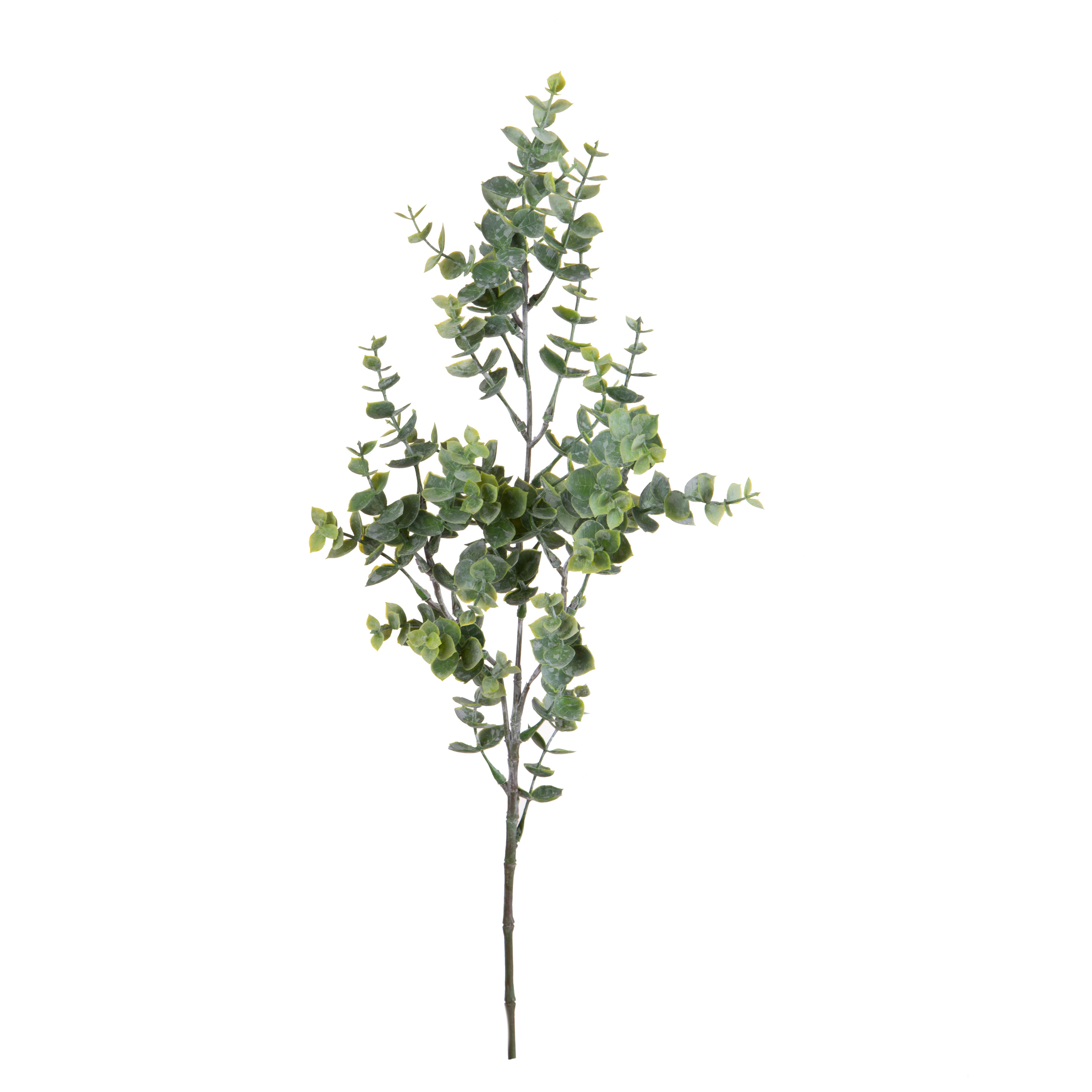 MINI EUCALIPTO H.65 CM X3 RAMI