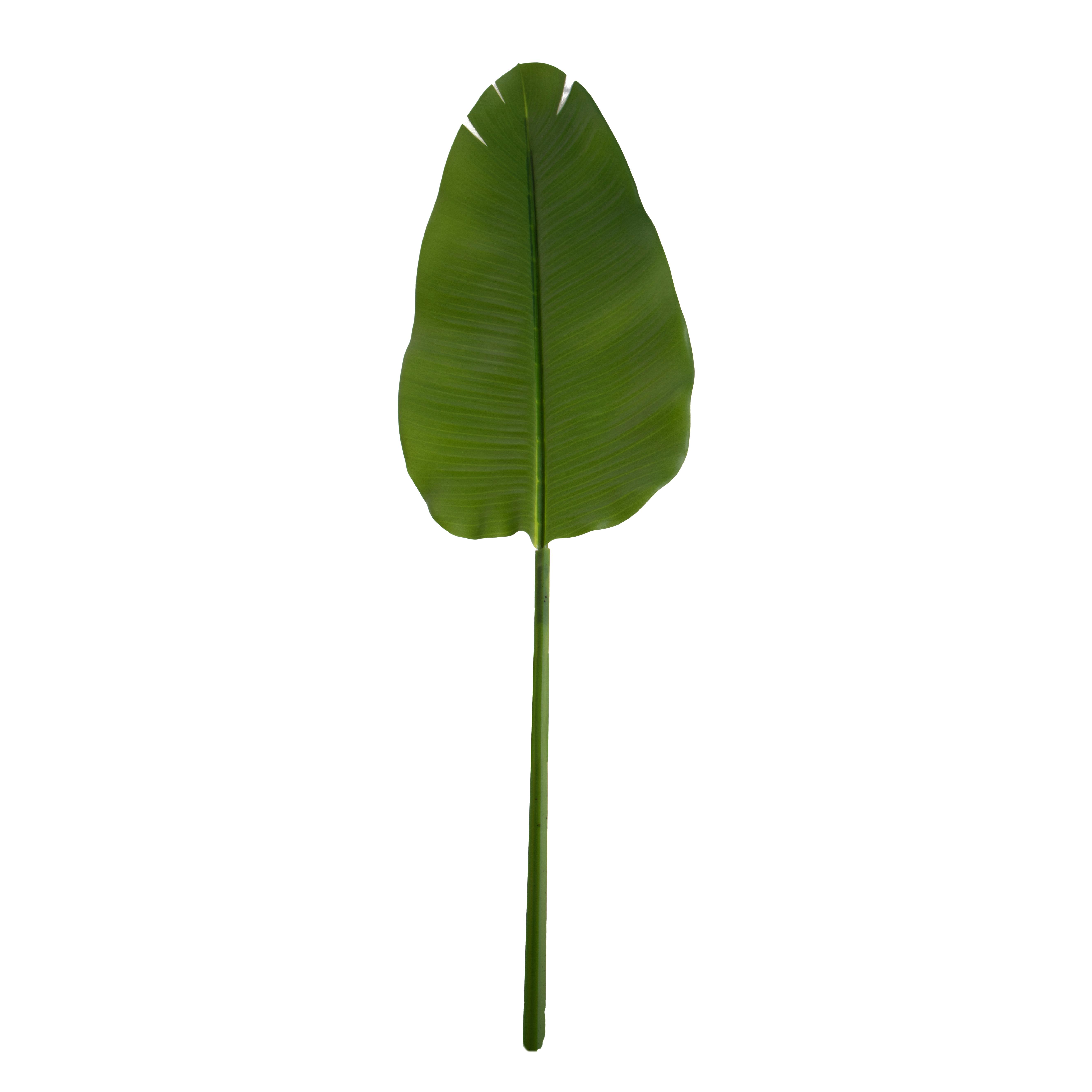 FOGLIA STERLIZIA 126 CM  REAL TOUCH