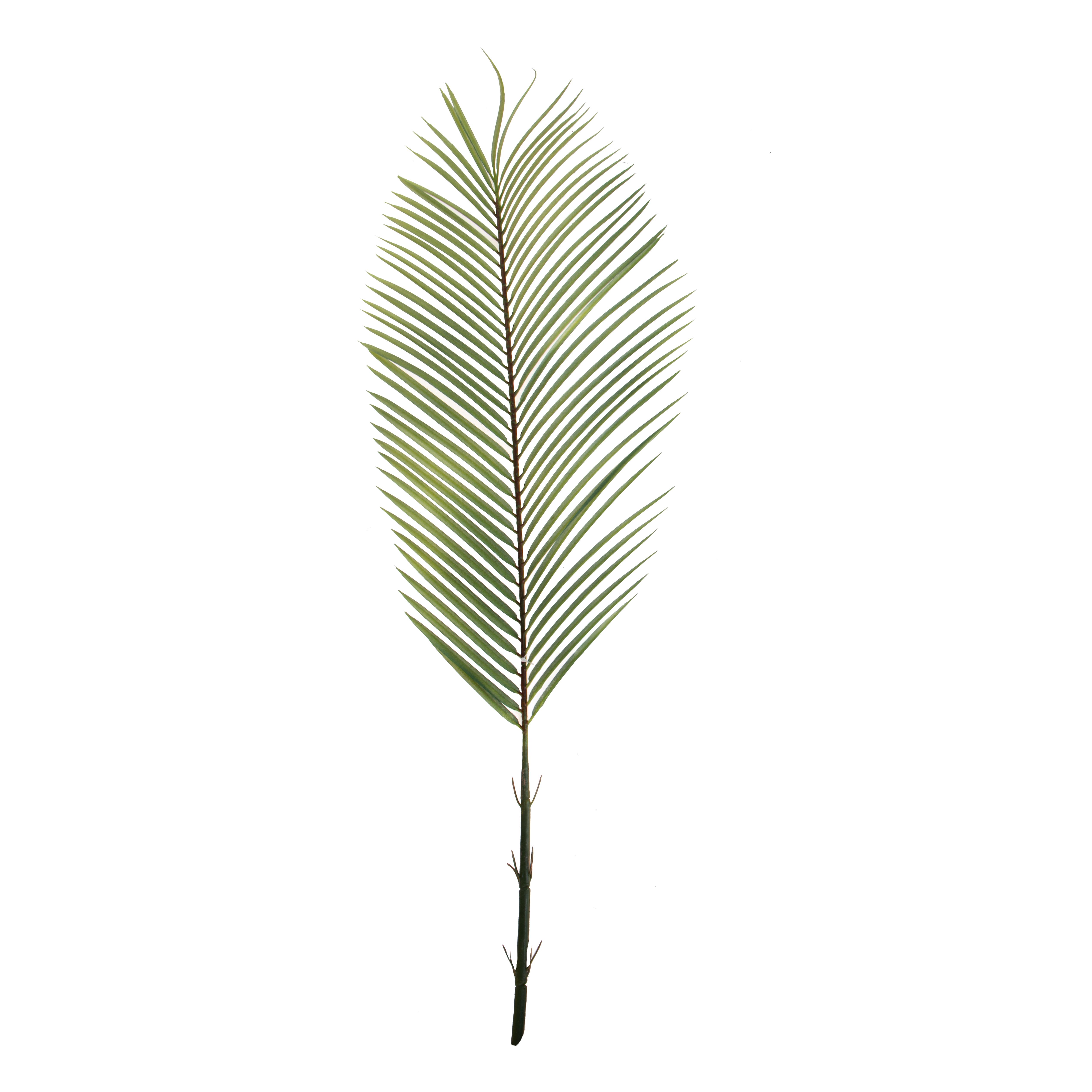 FOGLIA PALMA 115 CM