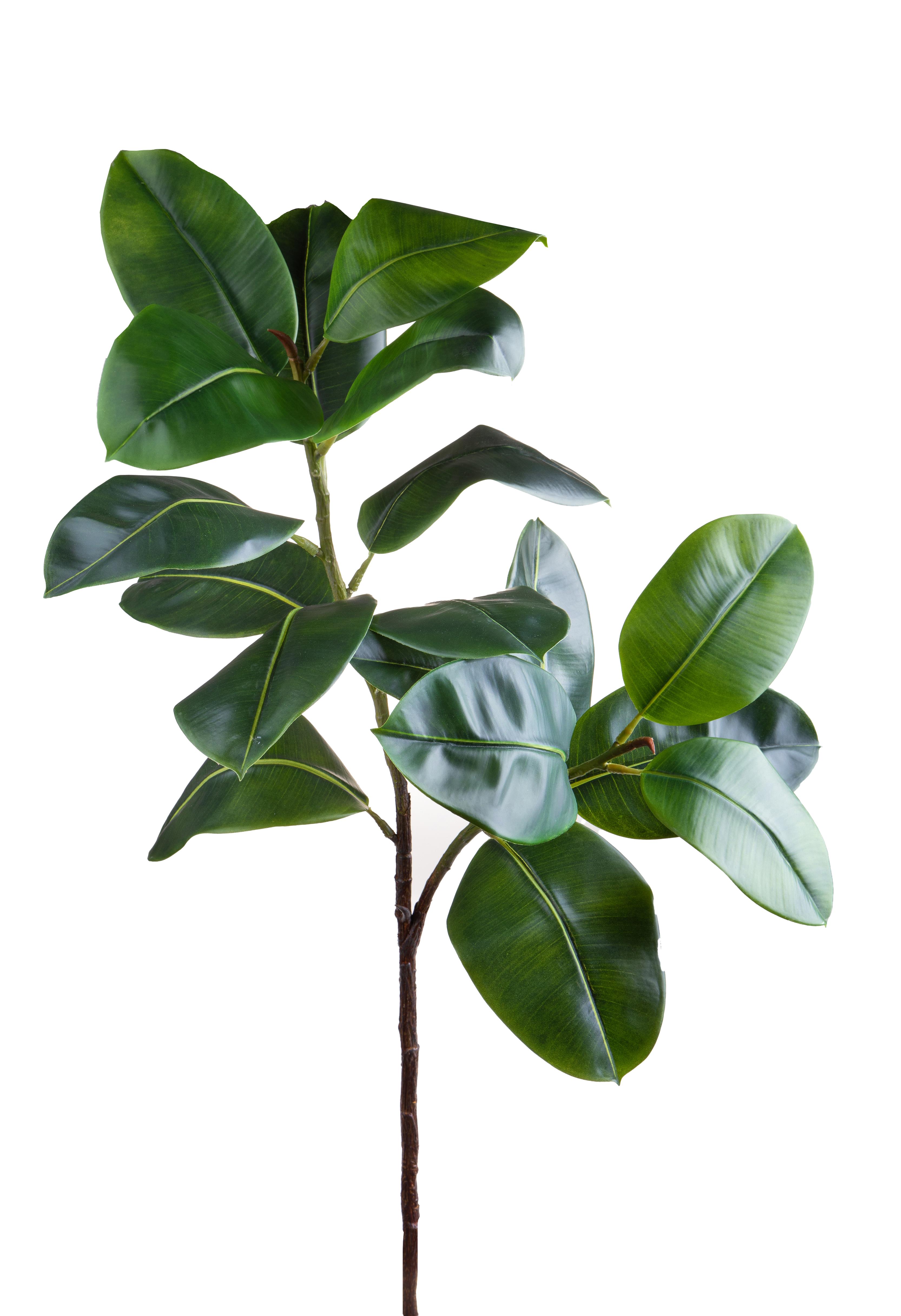 RAMO FICUS REAL TOUCH 120 CM