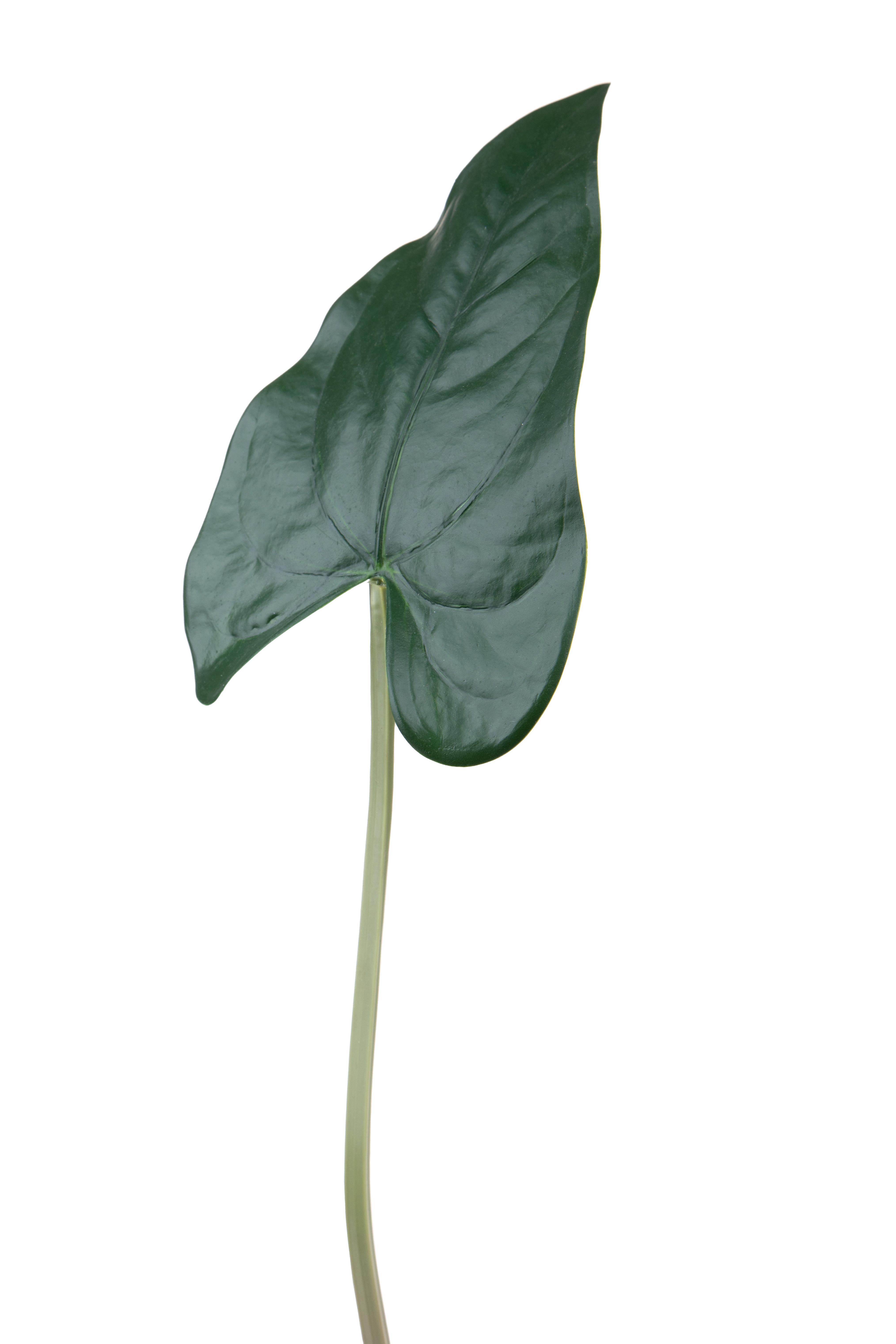 FOGLIA ANTHURIUM 55 CM