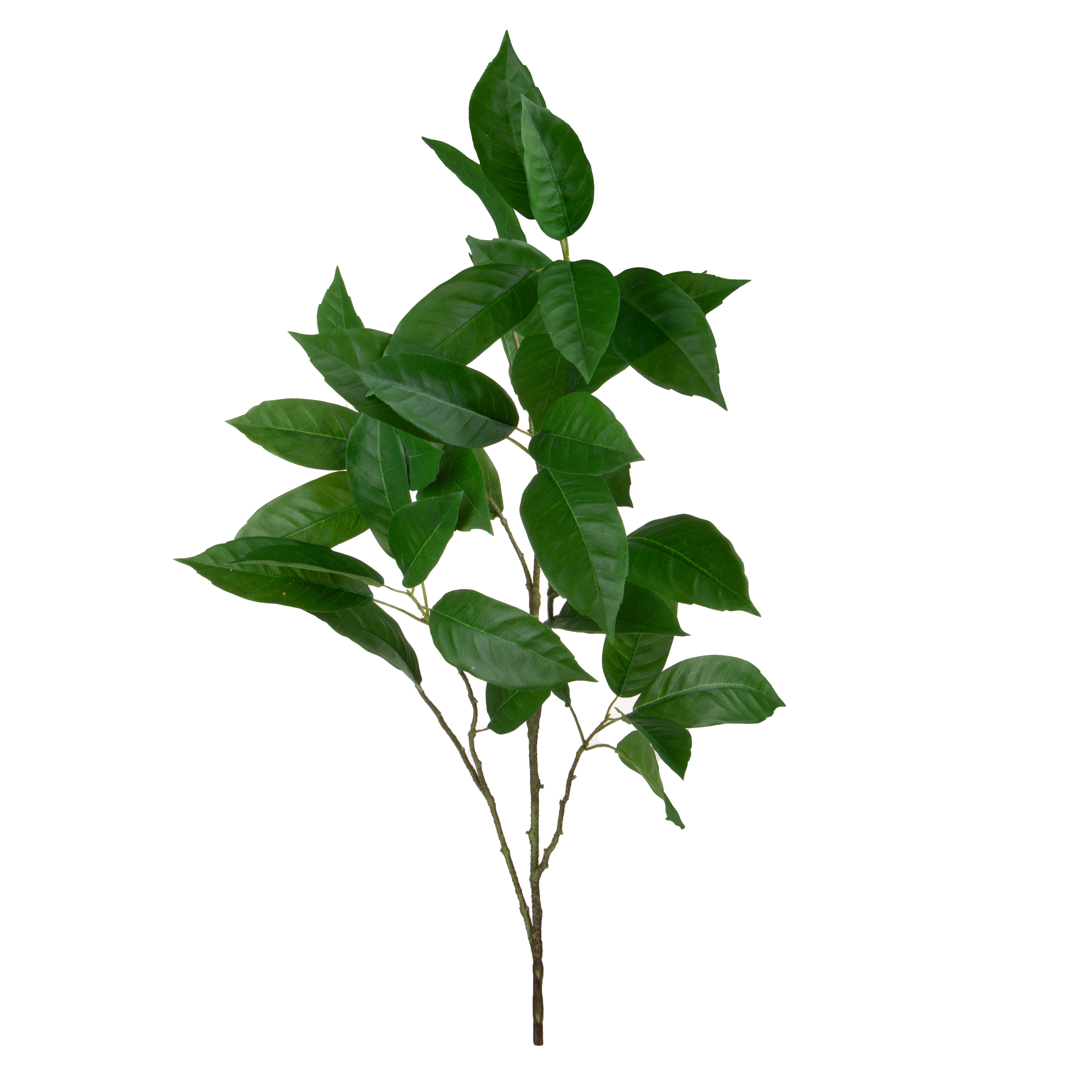 PLANTS, GREEN ORNAMENTS, FOGLIA LEMON 117 CM