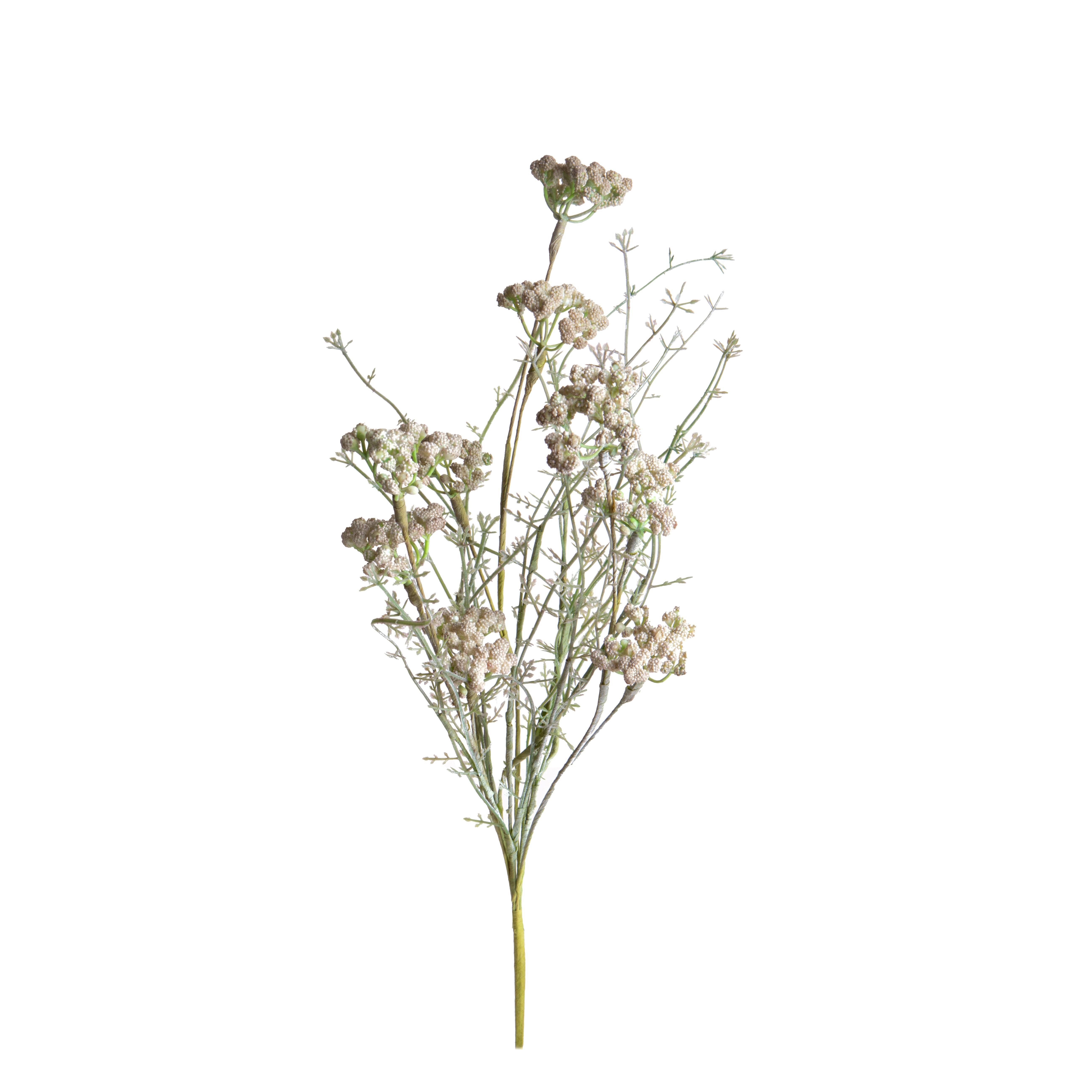 FIORI DI CAMPO H.60 CM C/ACHILLEA