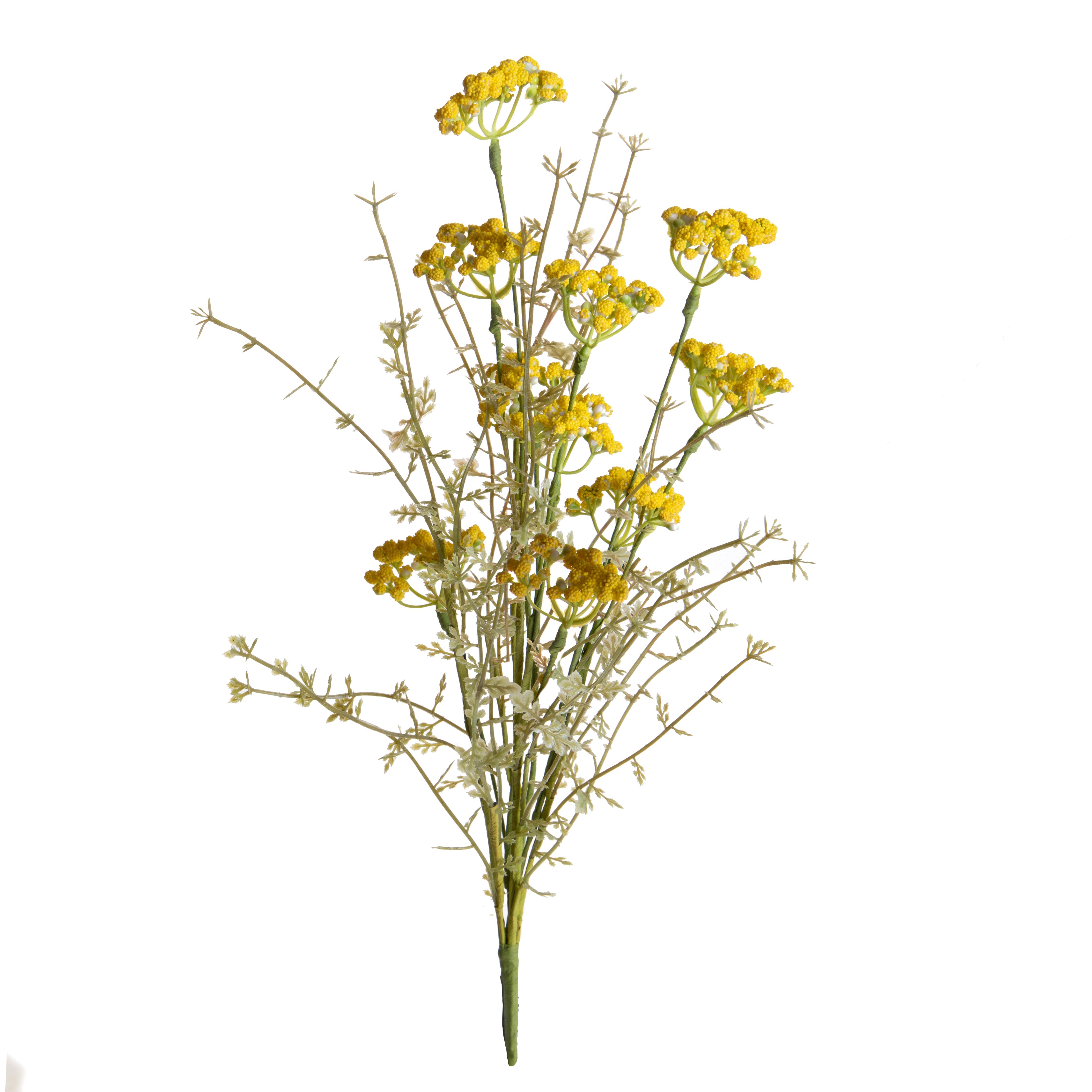 FIORI DI CAMPO H.60 CM C/ACHILLEA