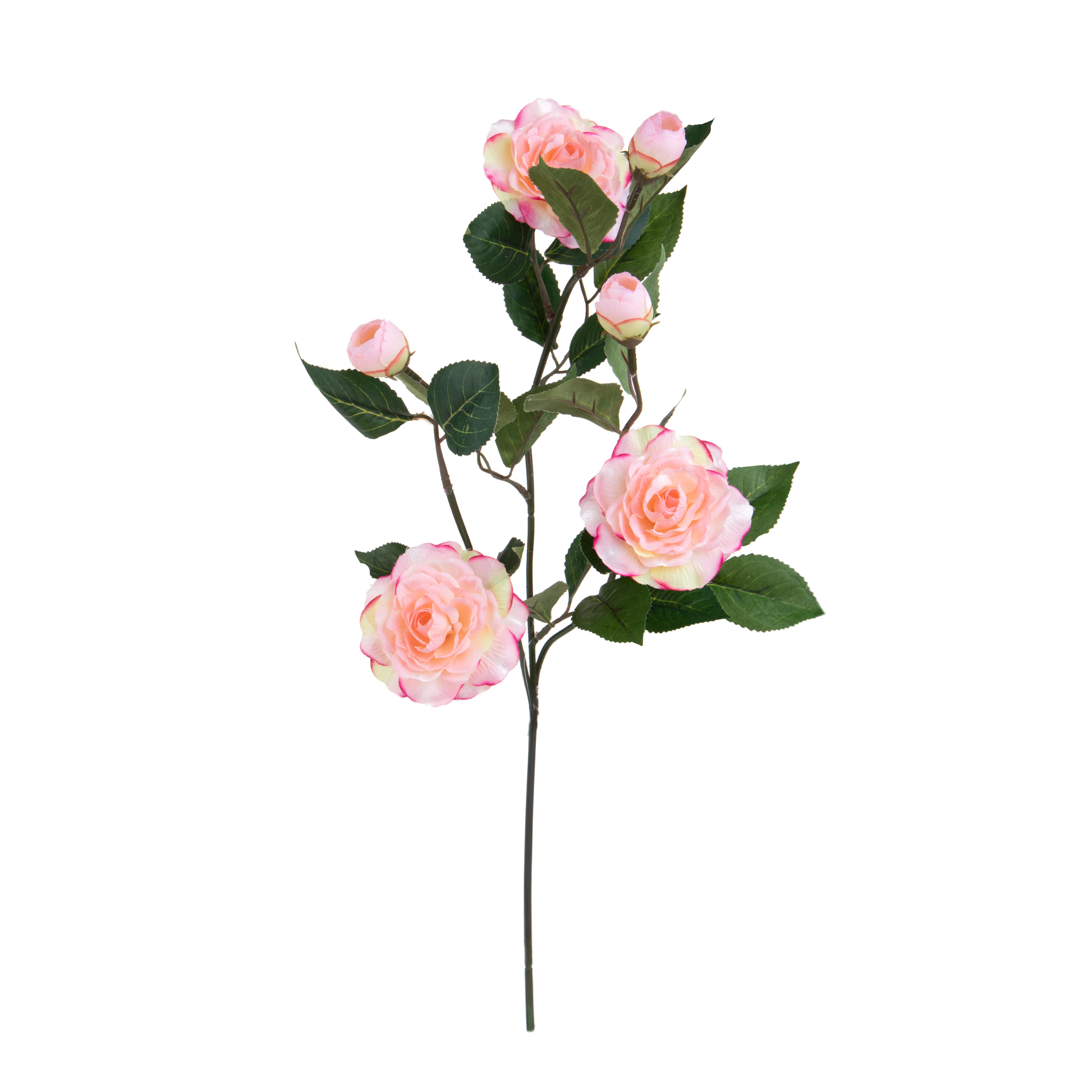 RAMO CAMELIA X 3 75 CM