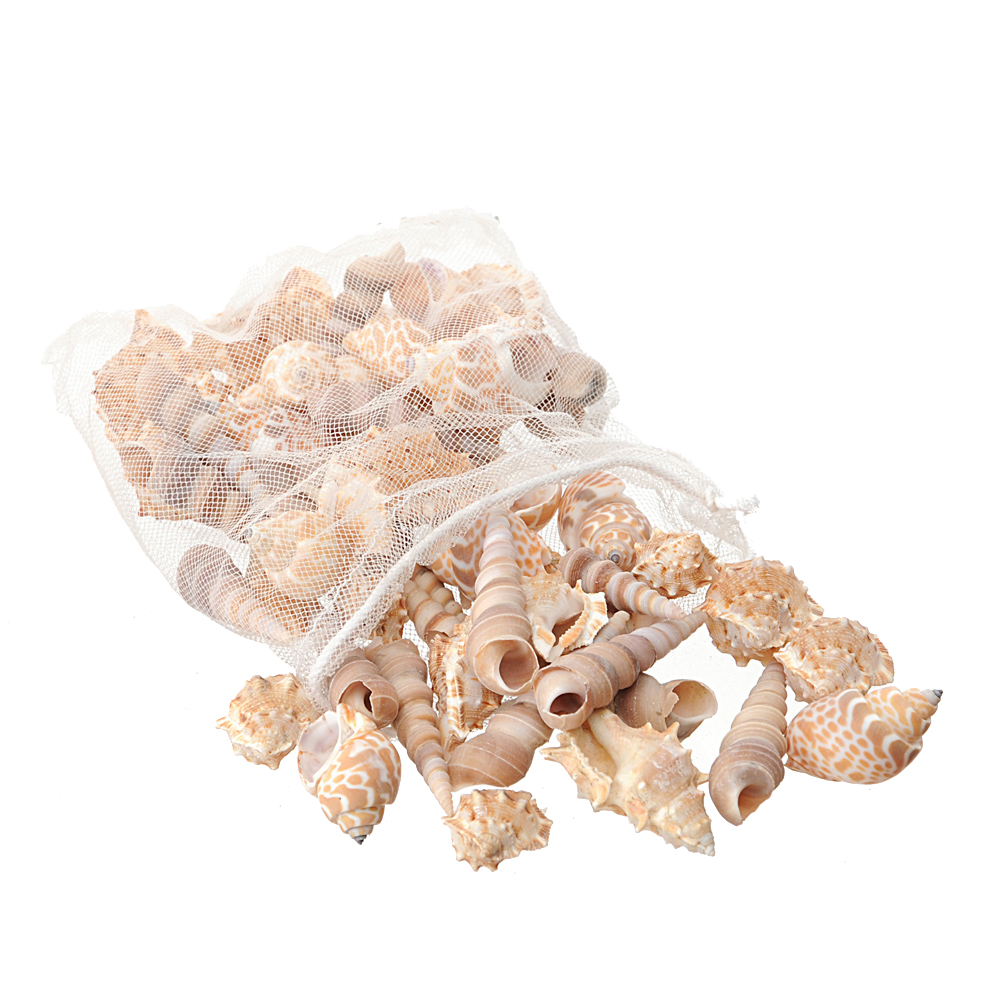 CONCHIGLIE MISTE GR 500 gr RETE