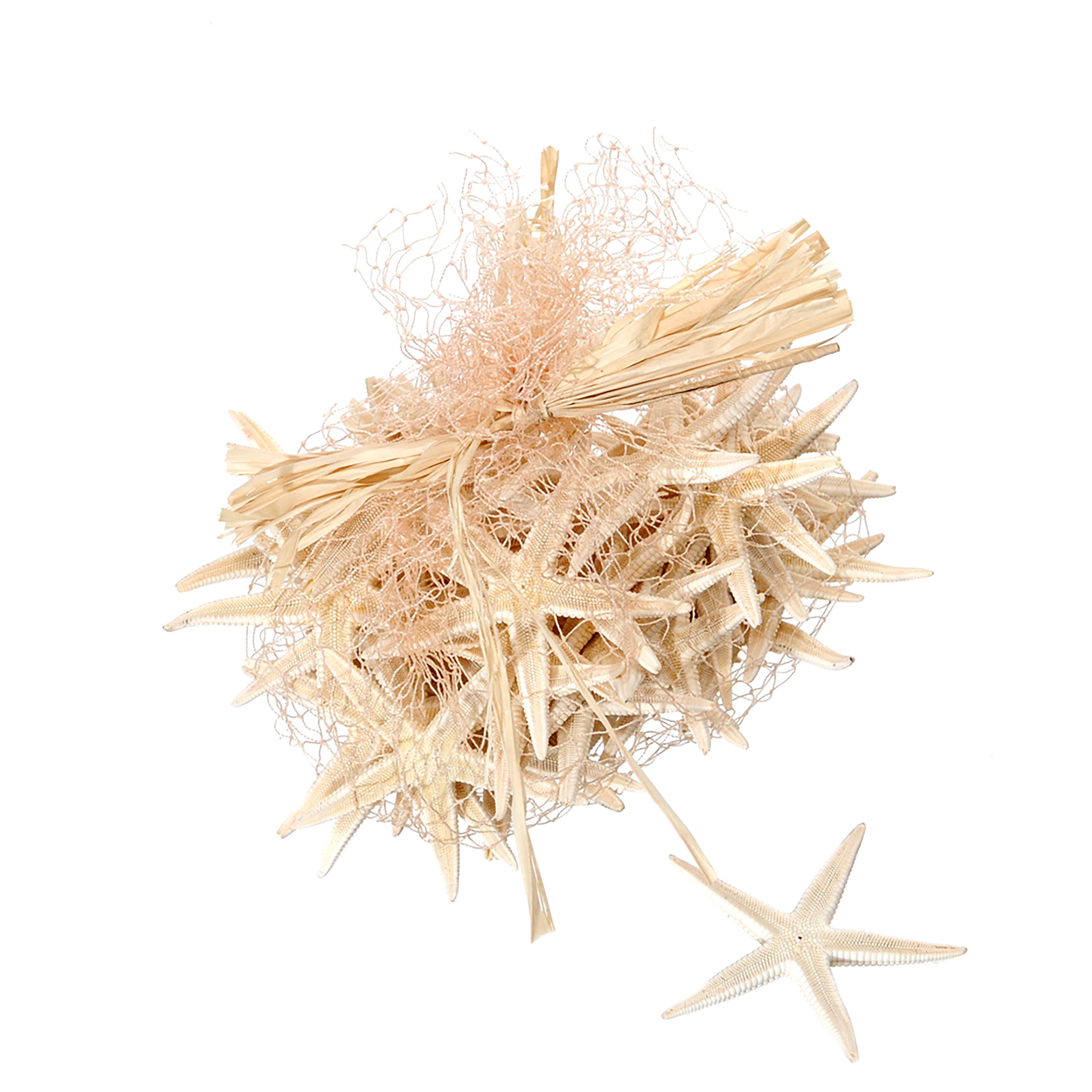 STELLE 50 PZ 2,5/3,5 CM CA. C/RETE