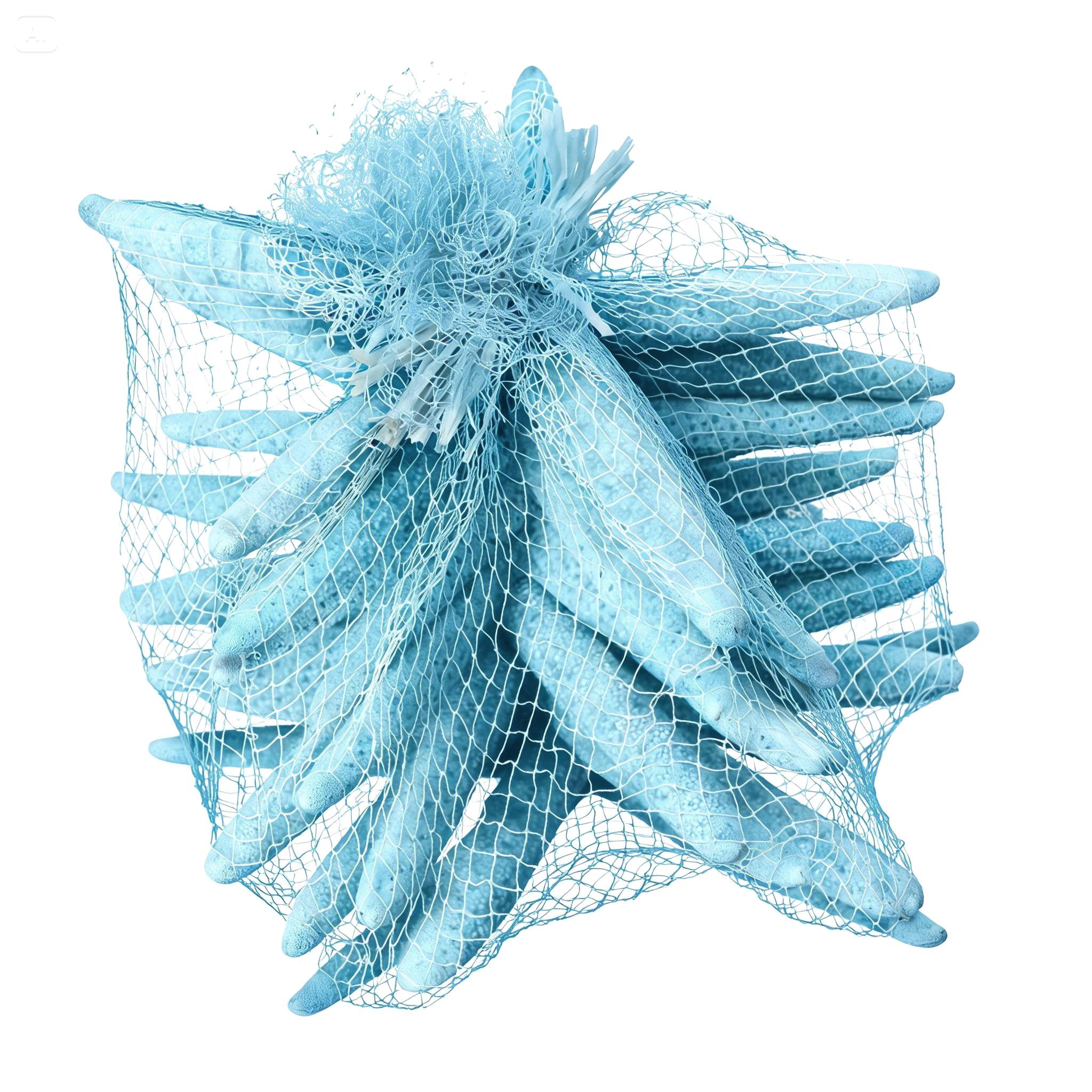 STELLE MARINE COL. 10 PZ 15/20 CM
