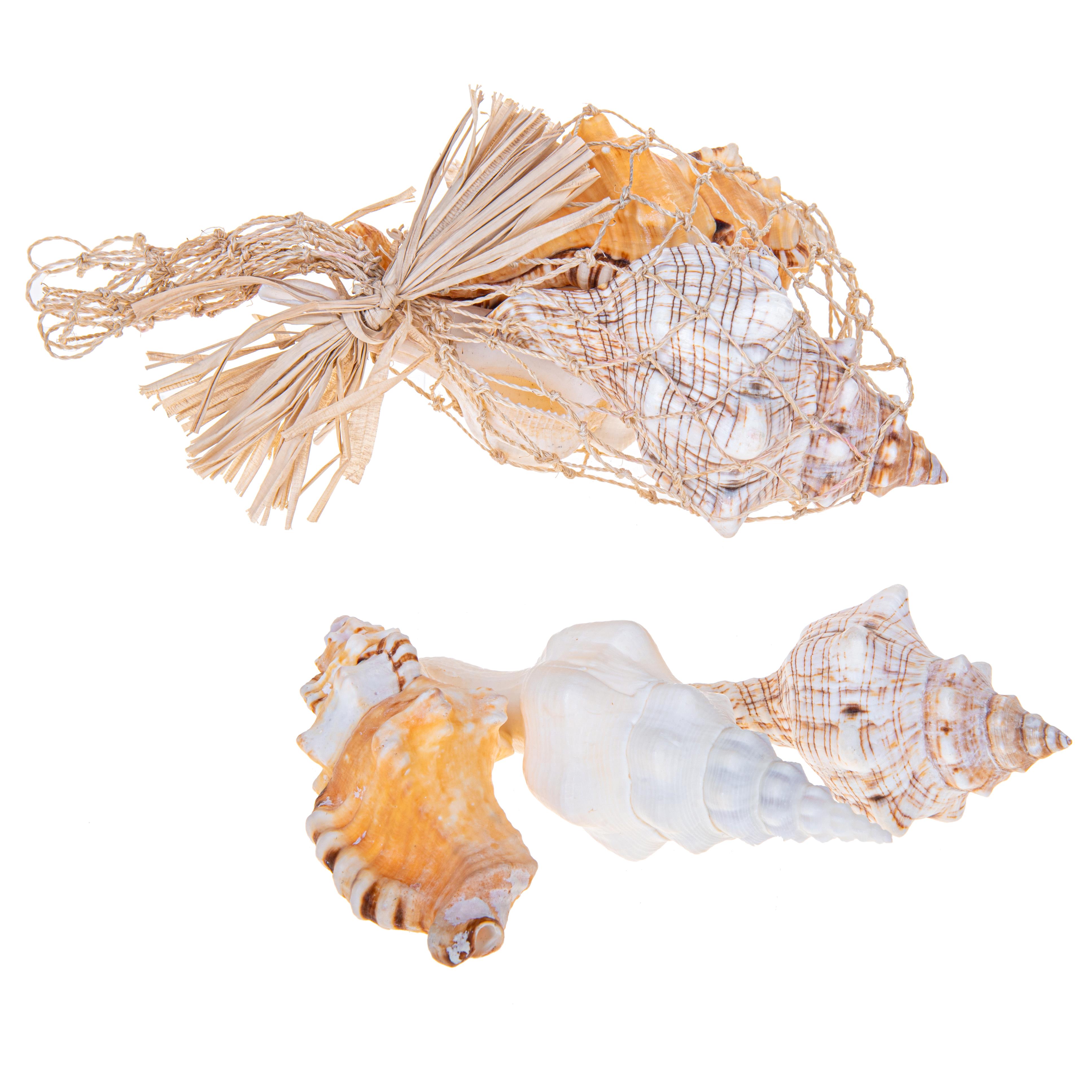 CONCHIGLIE 3 PZ ASSORTITE