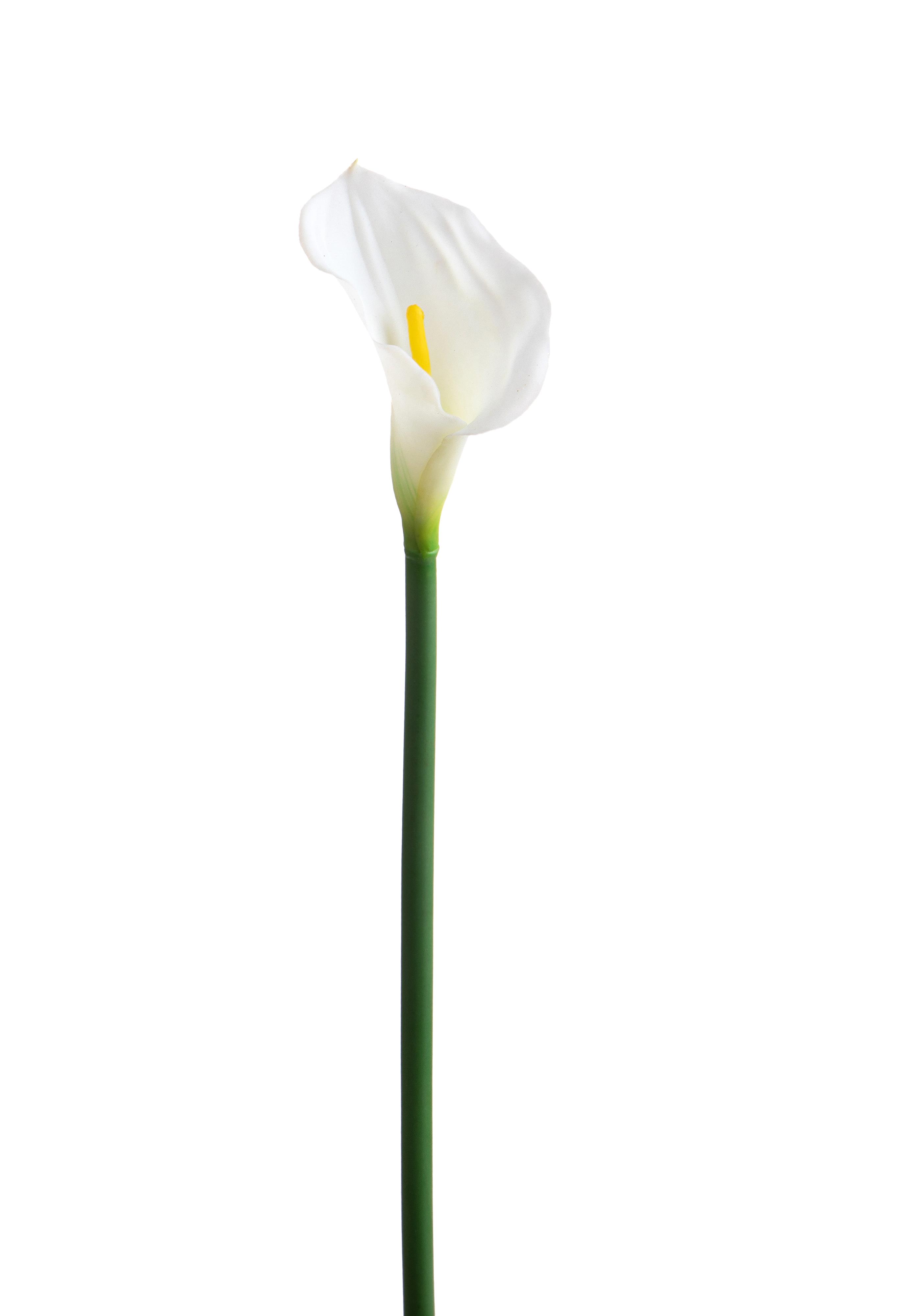 Fleurs artificielles,Chrysanthème,CALLA SINGOLA 74 CM