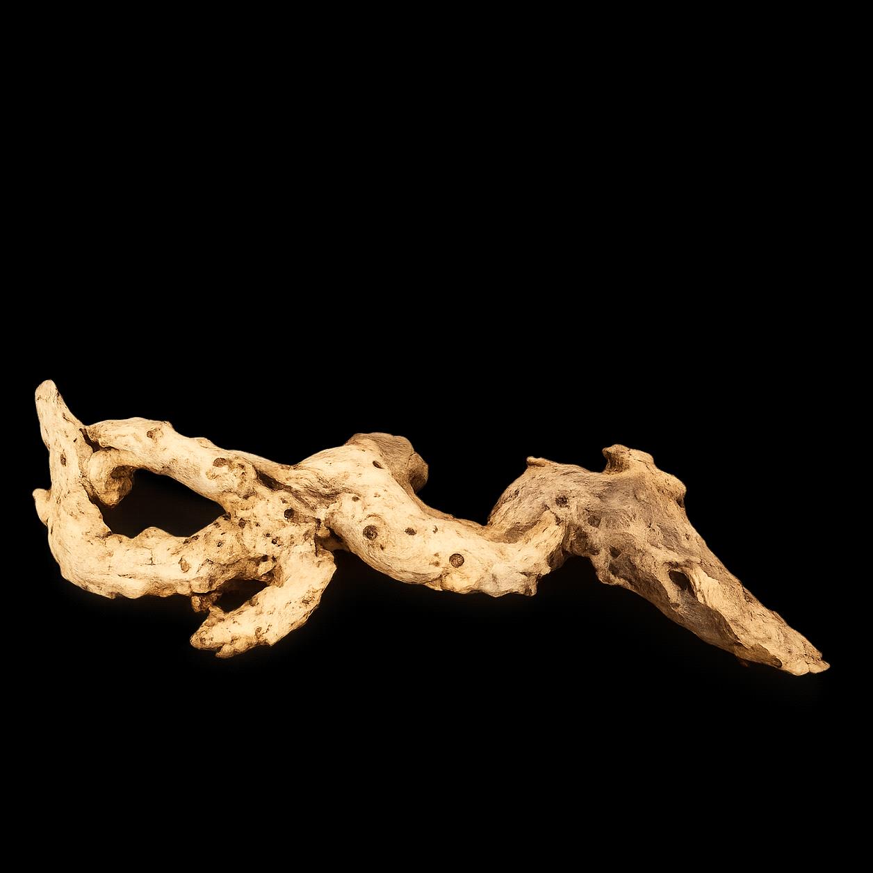 TRONCO CORAL 40/60 CM