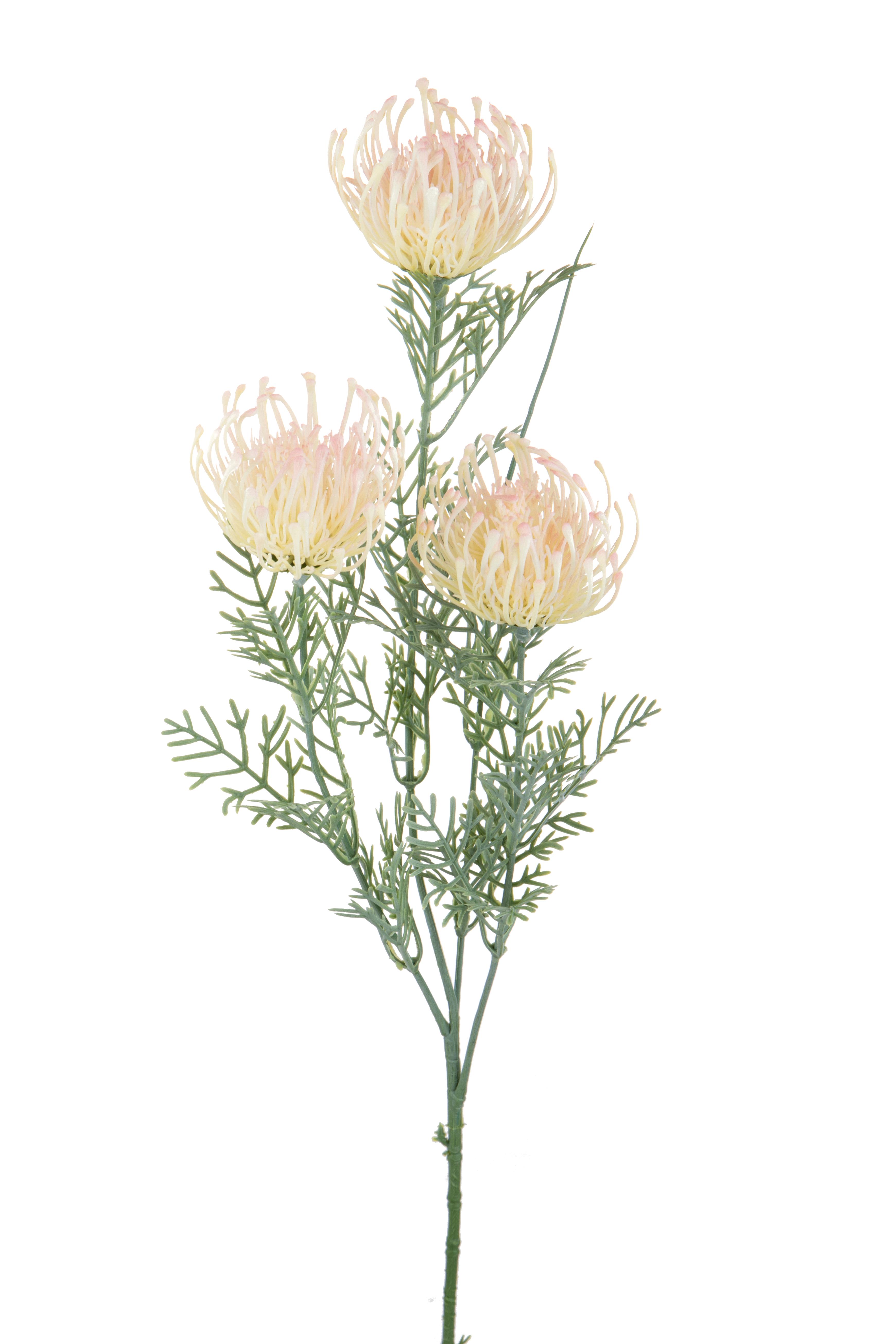 Kunstblumen, Exotische Blumen, PROTEA AUSTRALIANA X 3 56 CM