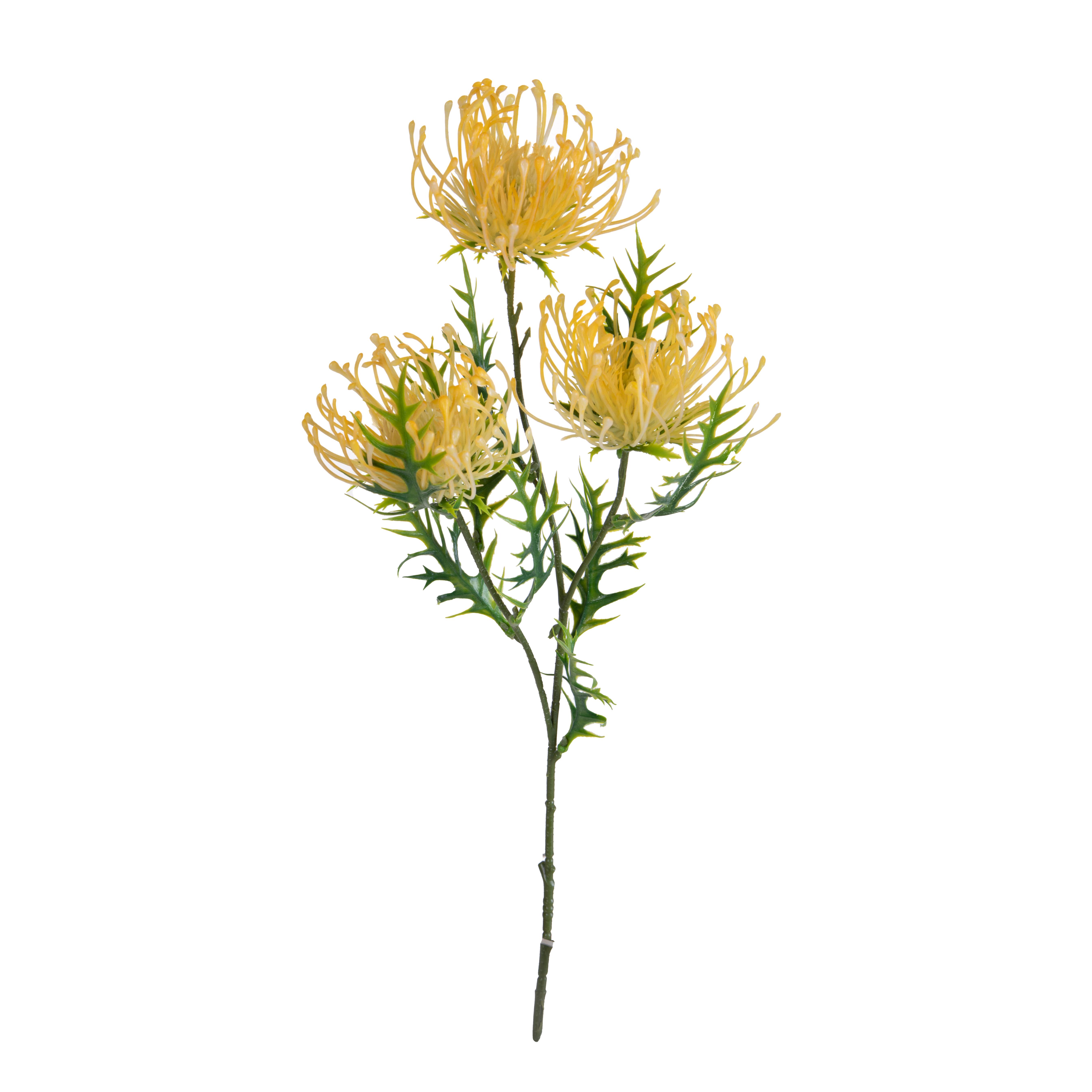 PROTEA X 3 61 CM