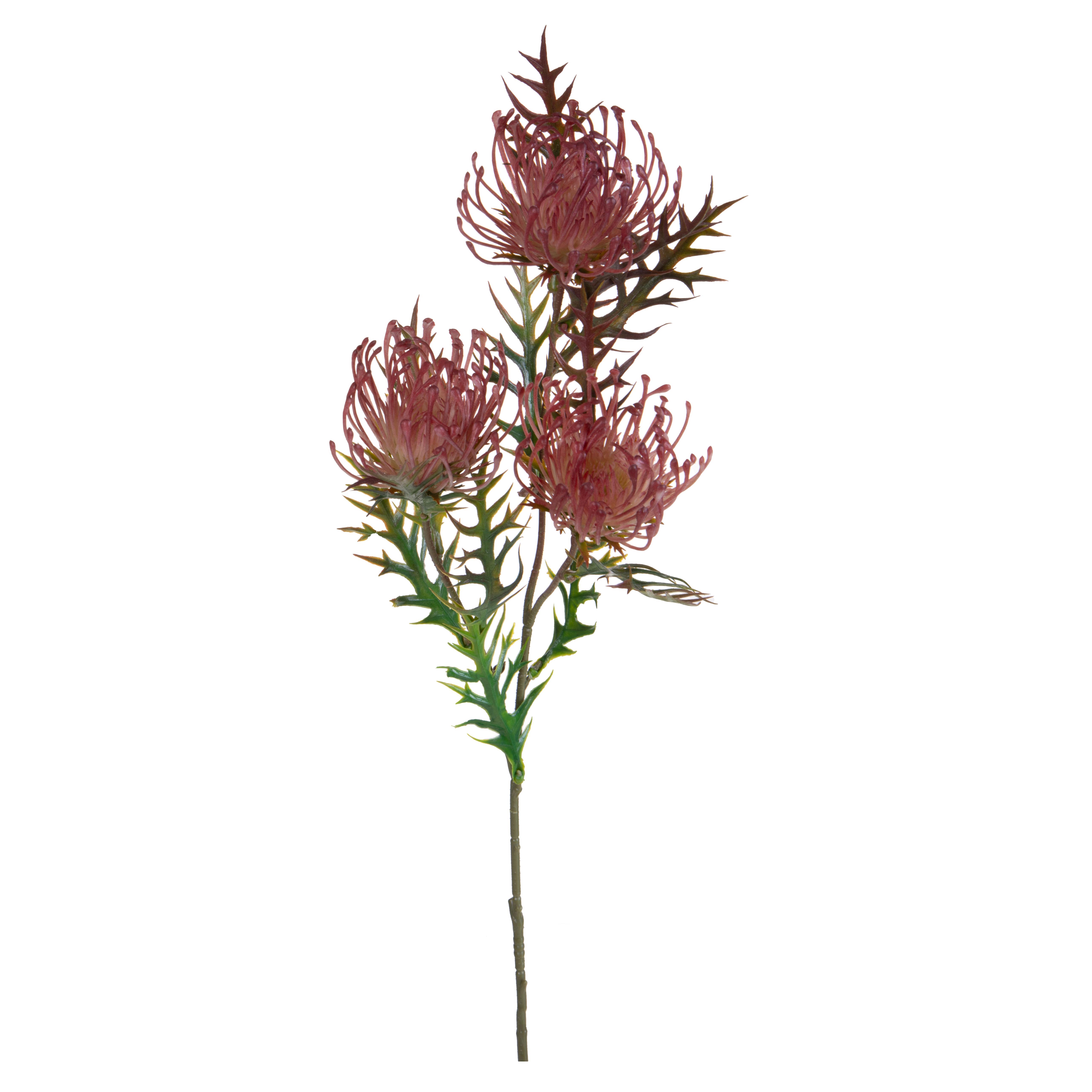 PROTEA X 3 61 CM