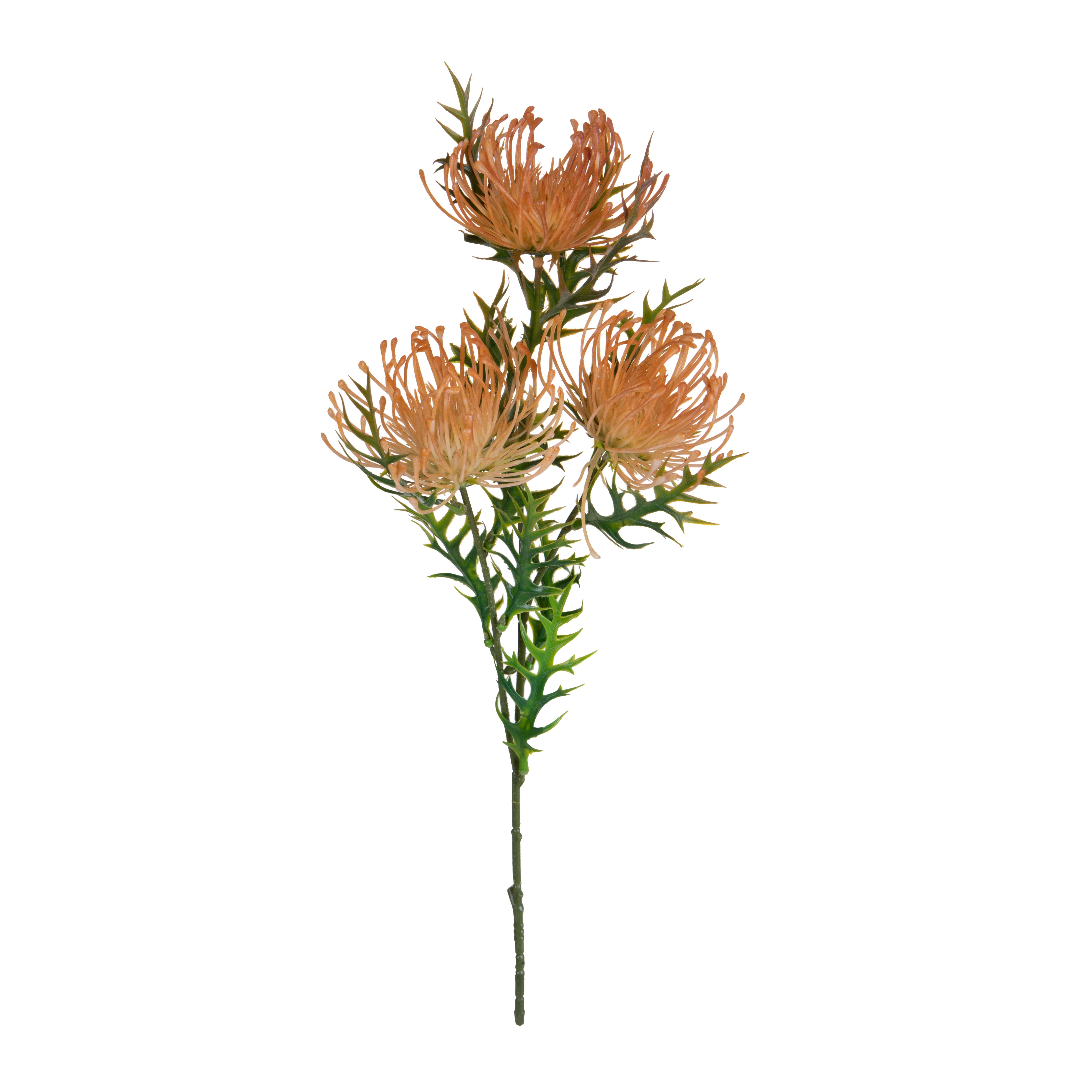PROTEA X 3 61 CM
