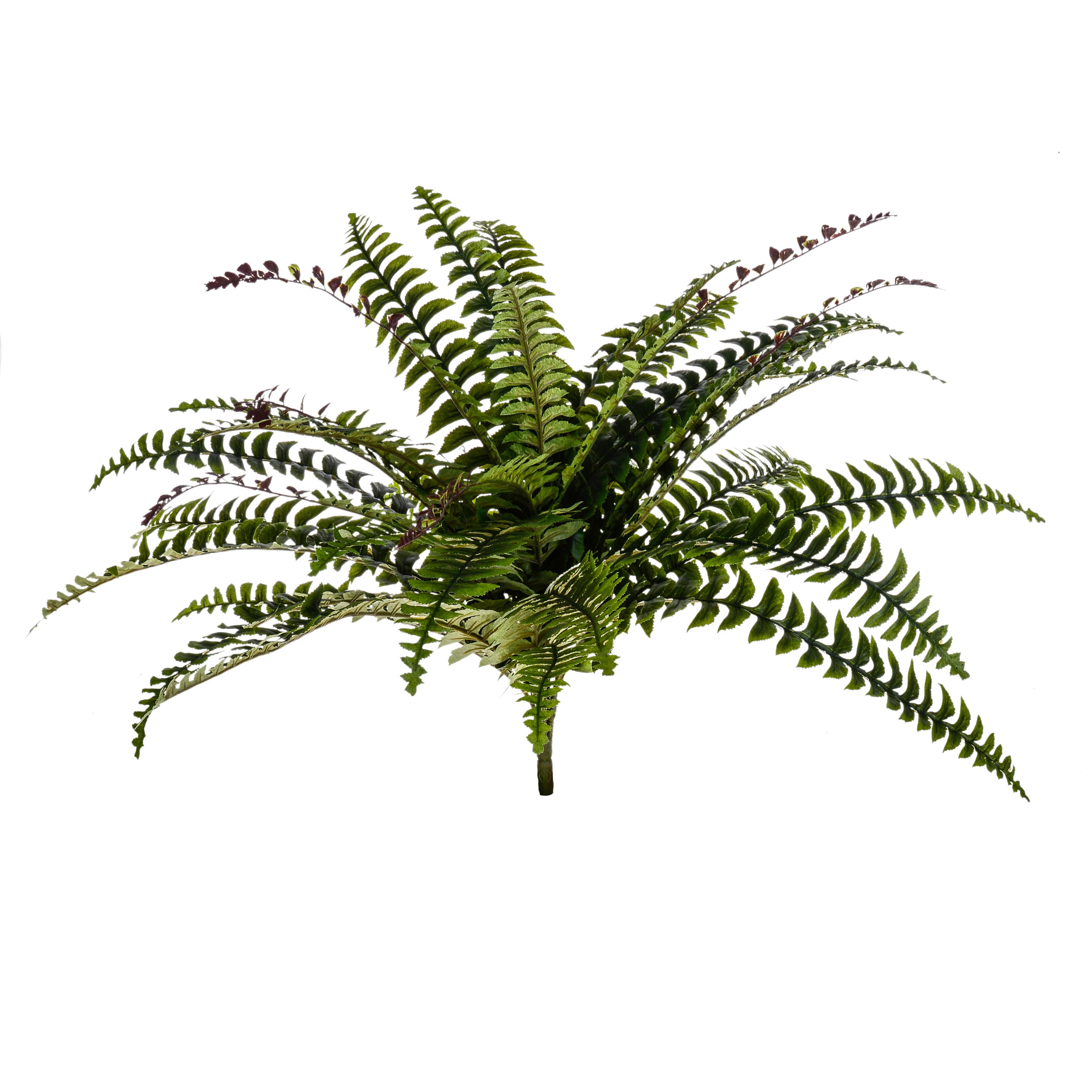 FELCE 36 FGL D.60 CM