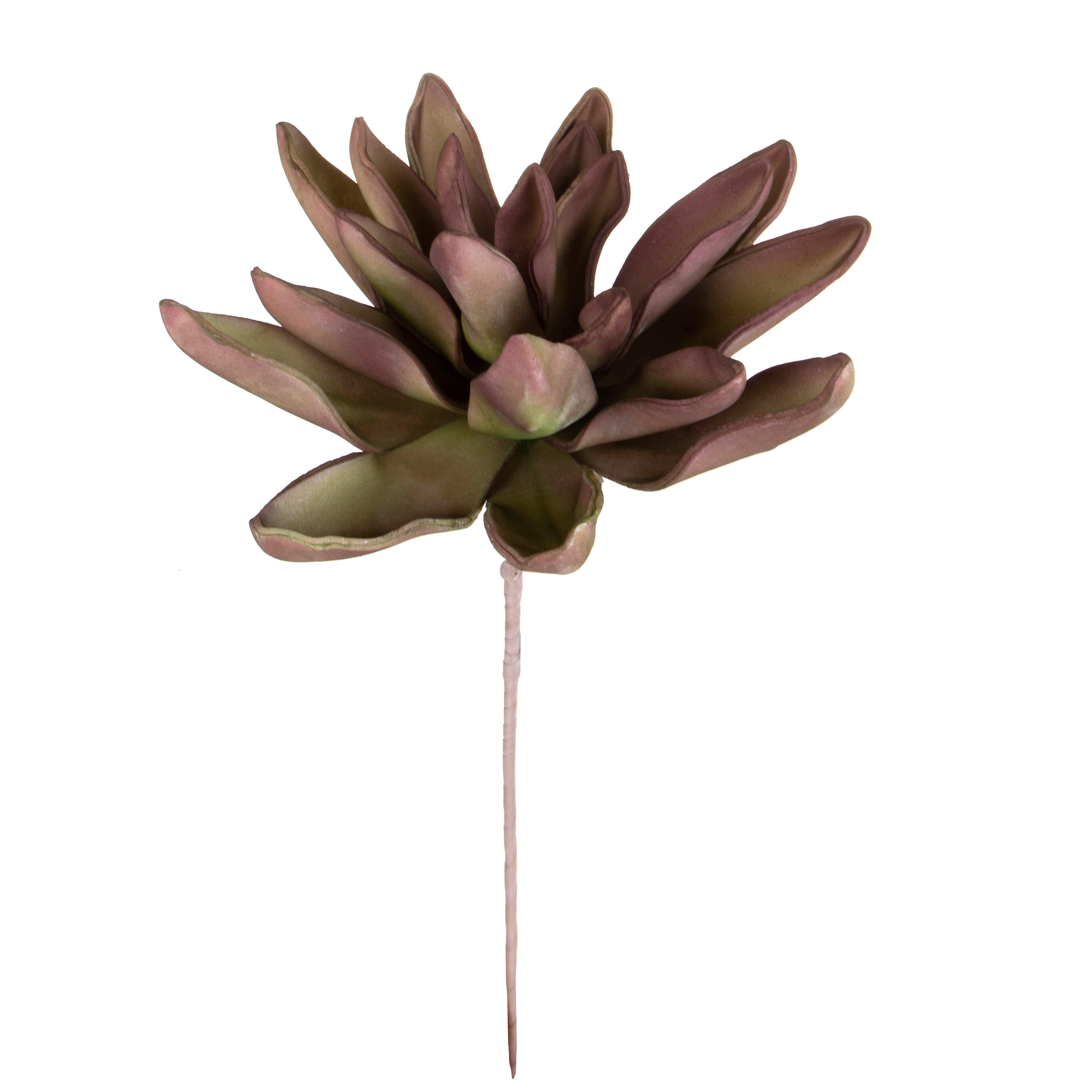 SUCCULENT 71 CM