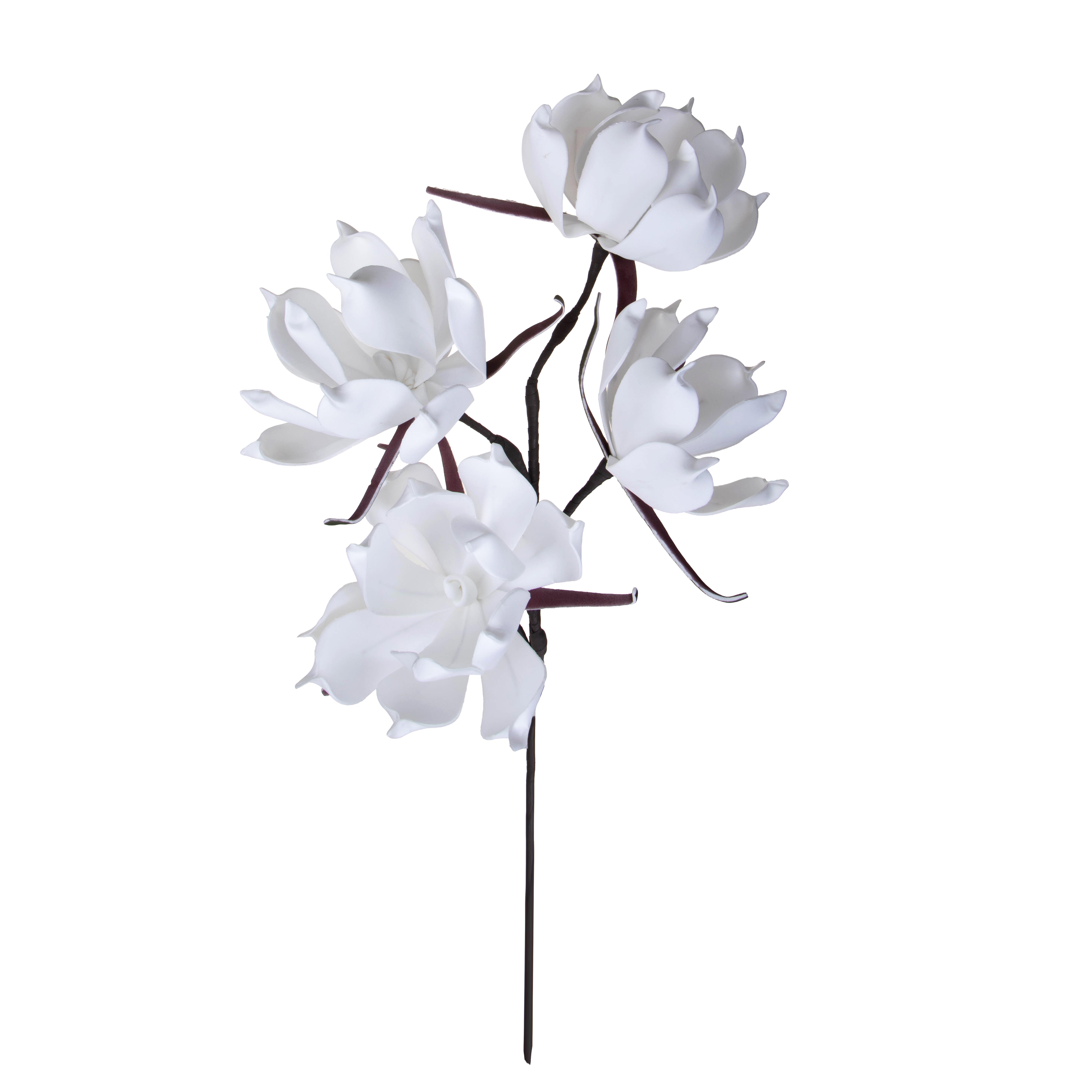MAGNOLIA X 4 95 CM