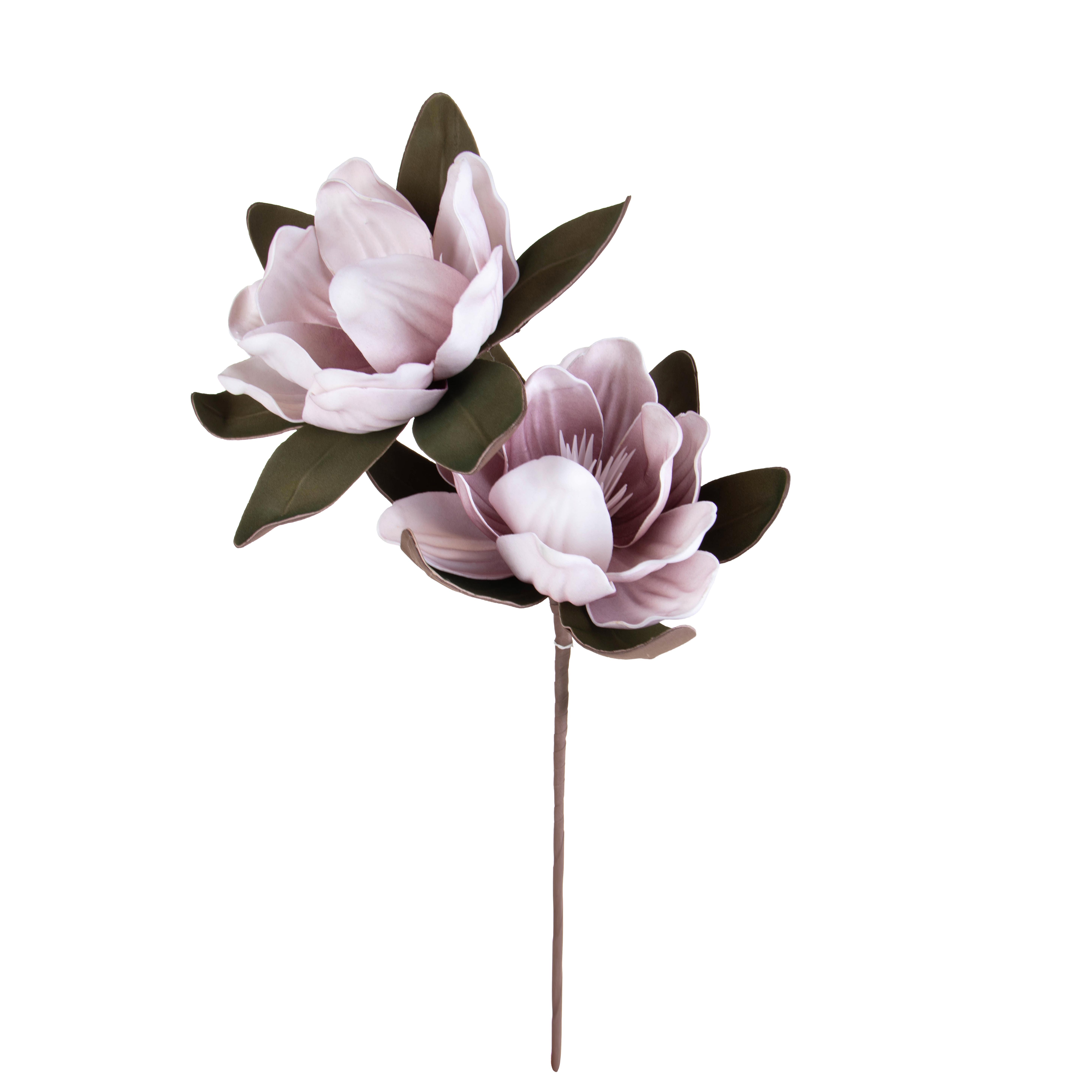 MAGNOLIA X 2 73 CM