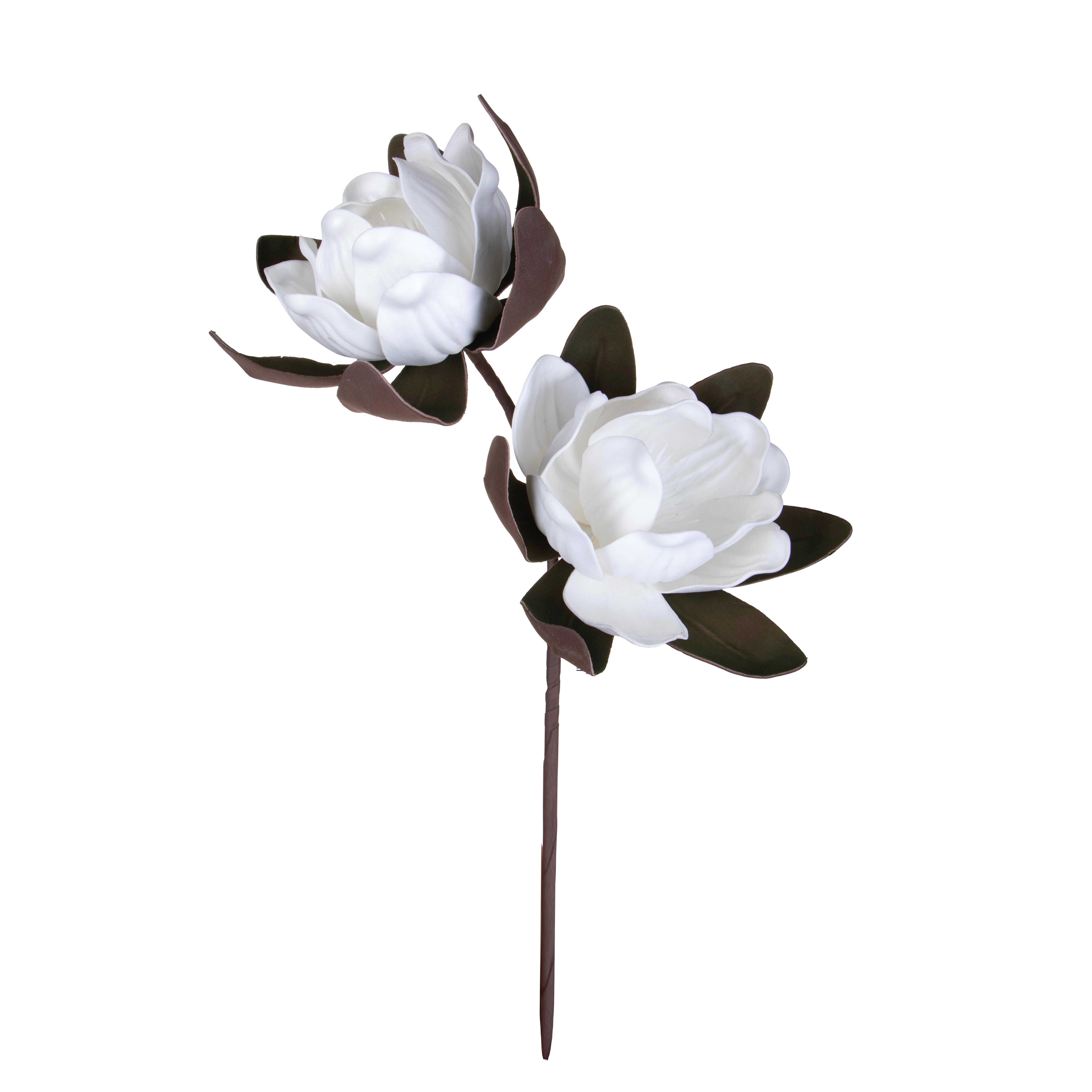 MAGNOLIA X 2 73 CM