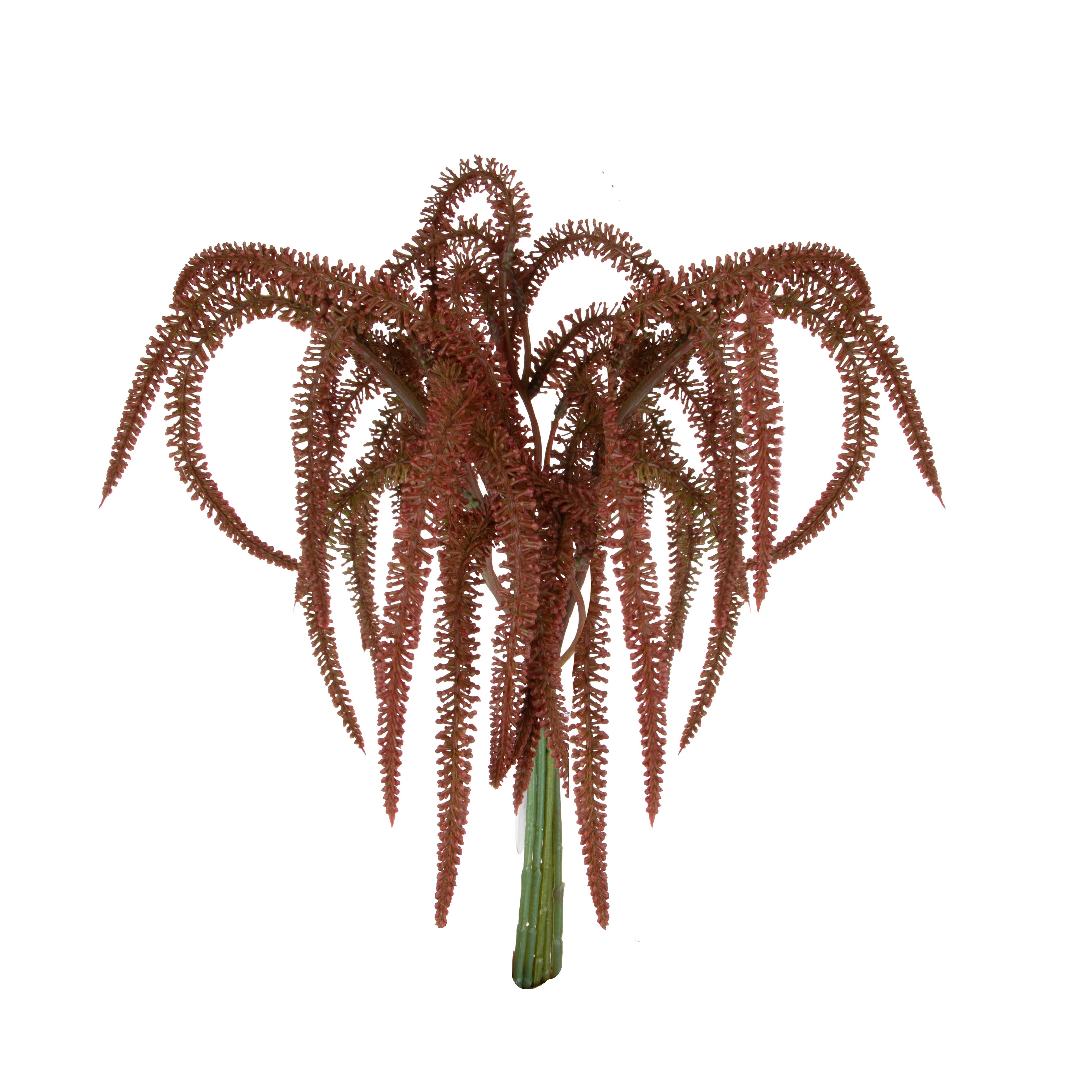 AMARANTUS MAZZO 6 PEZZI 42 CM