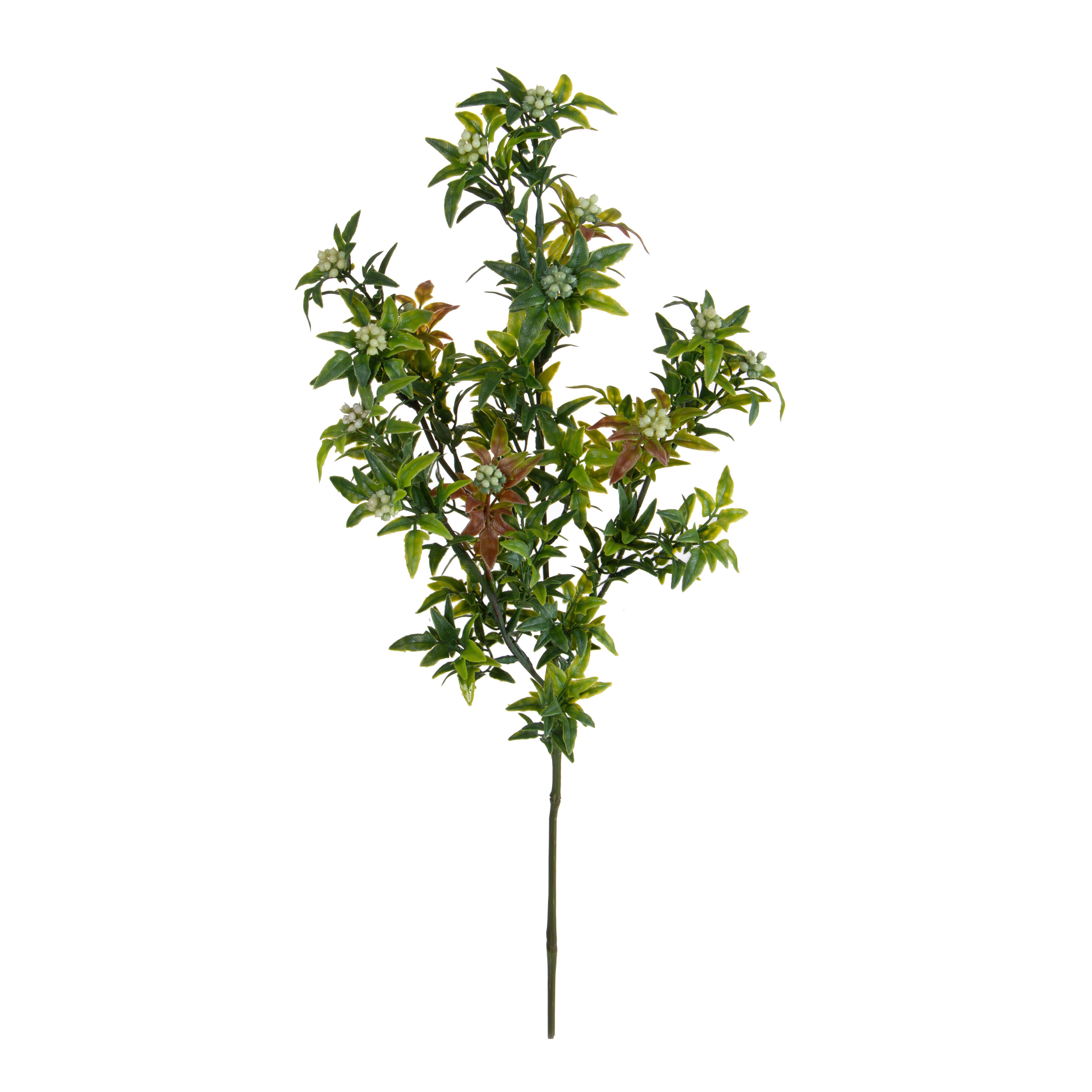 MINI PIRACANTA H.62 CM RAMO X4
