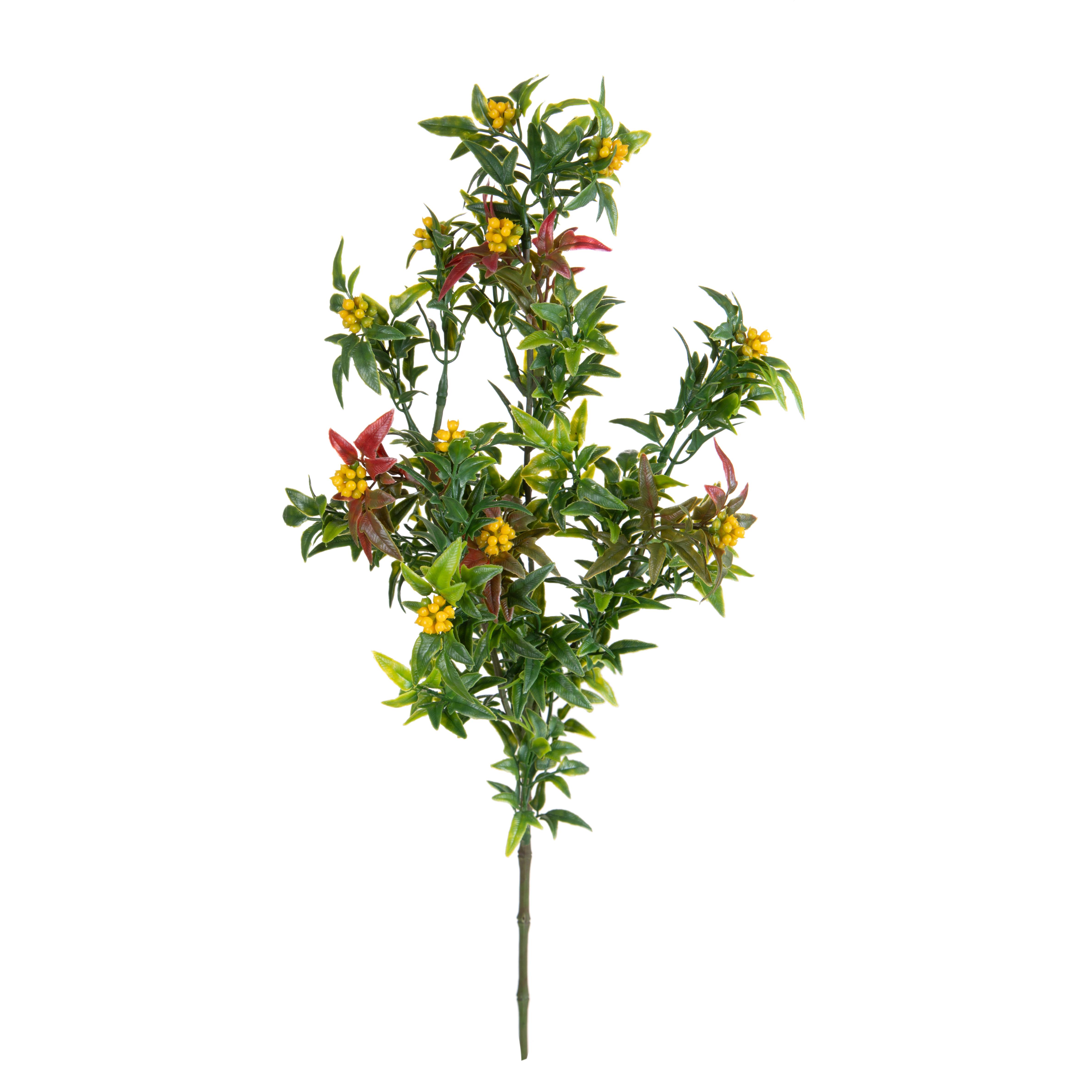 MINI PIRACANTA H.62 CM RAMO X4