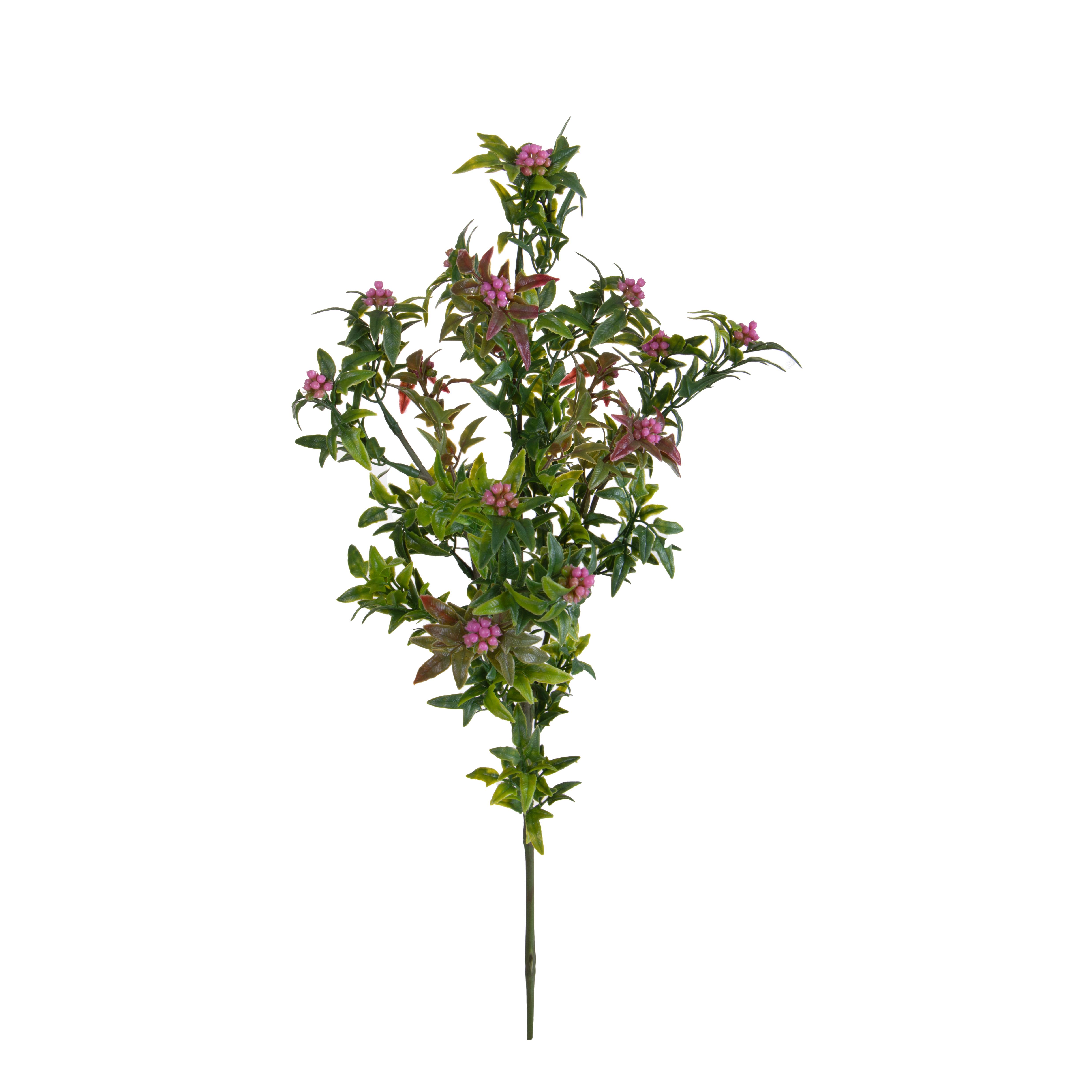 MINI PIRACANTA H.62 CM RAMO X4
