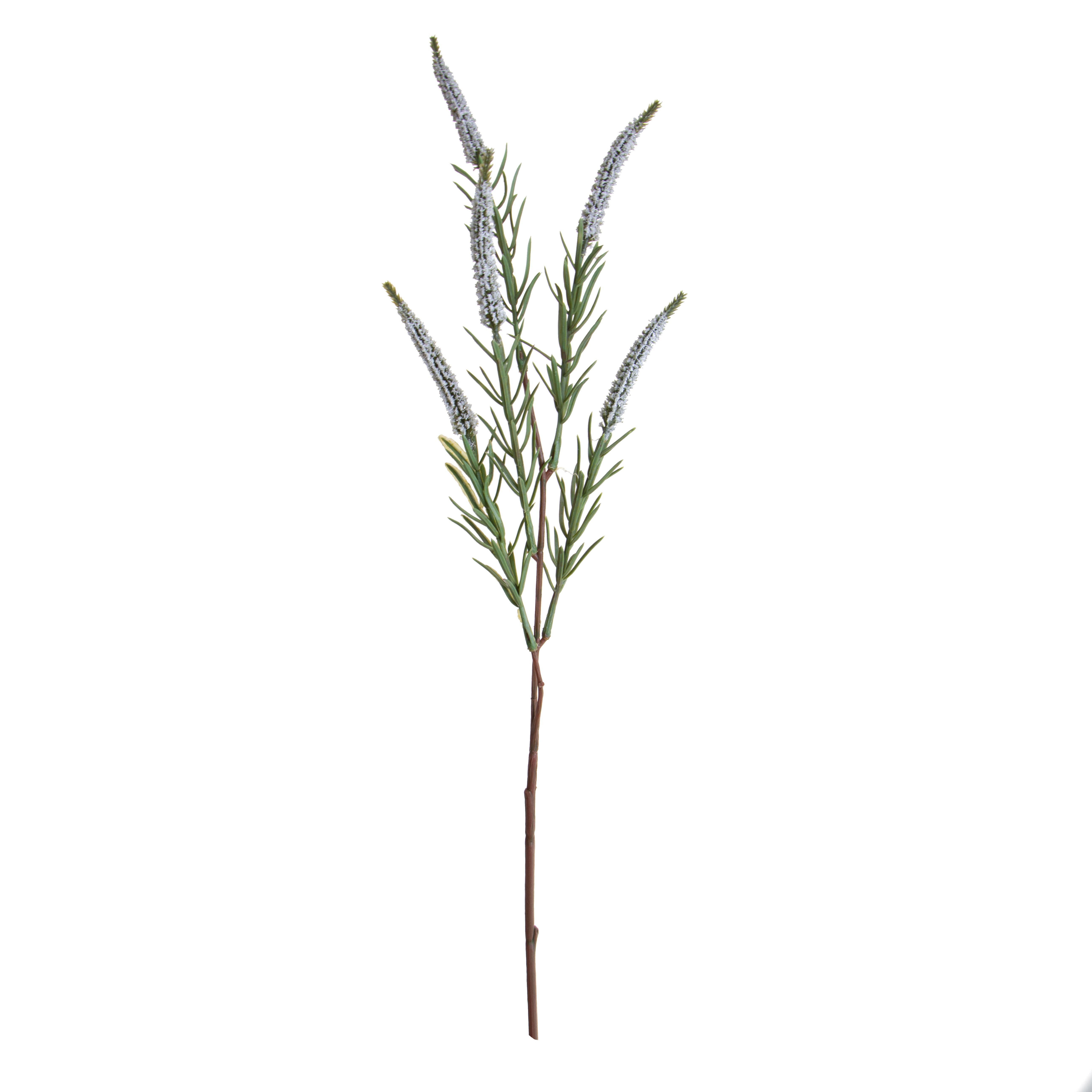 SPIGA X 5 60 CM