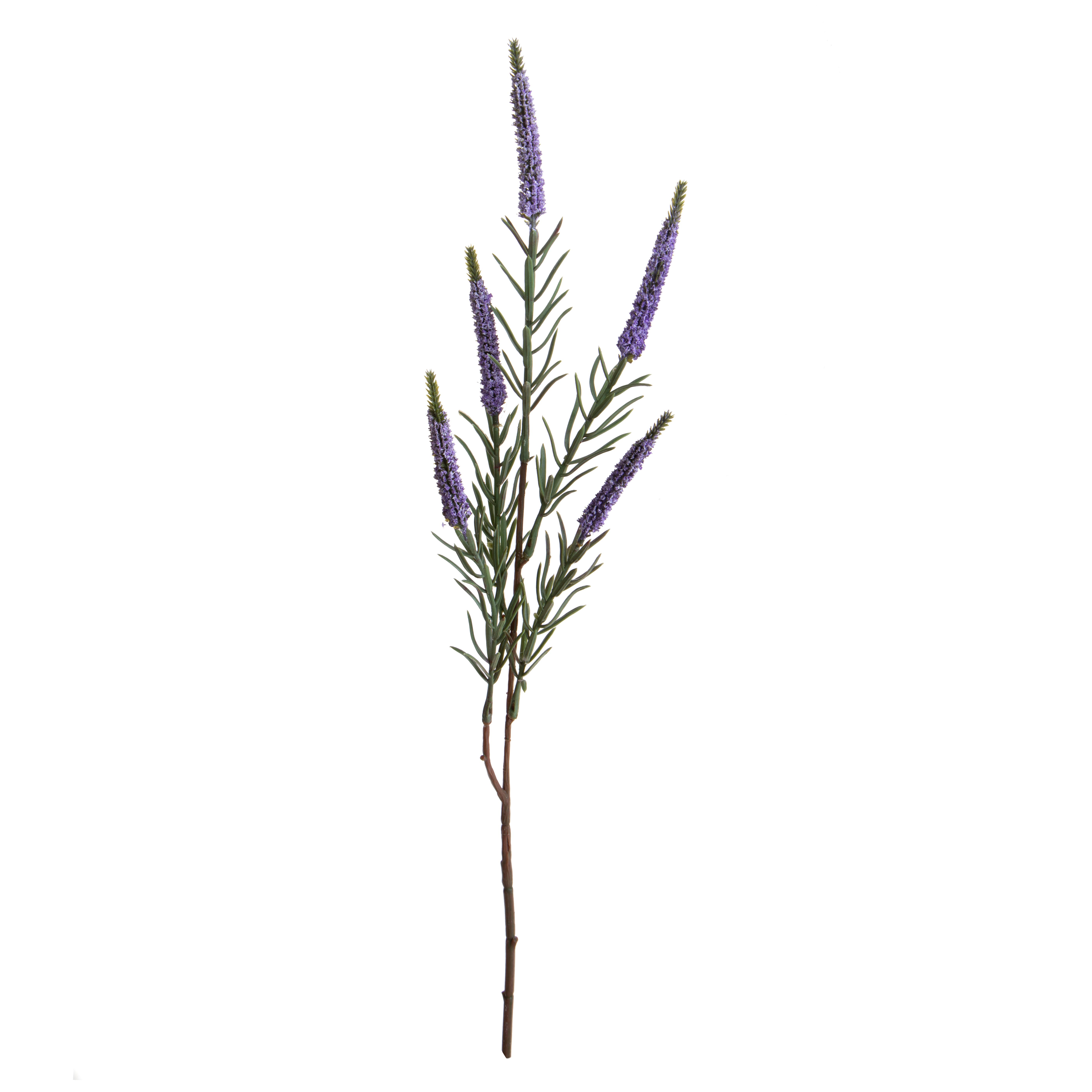 SPIGA X 5 60 CM