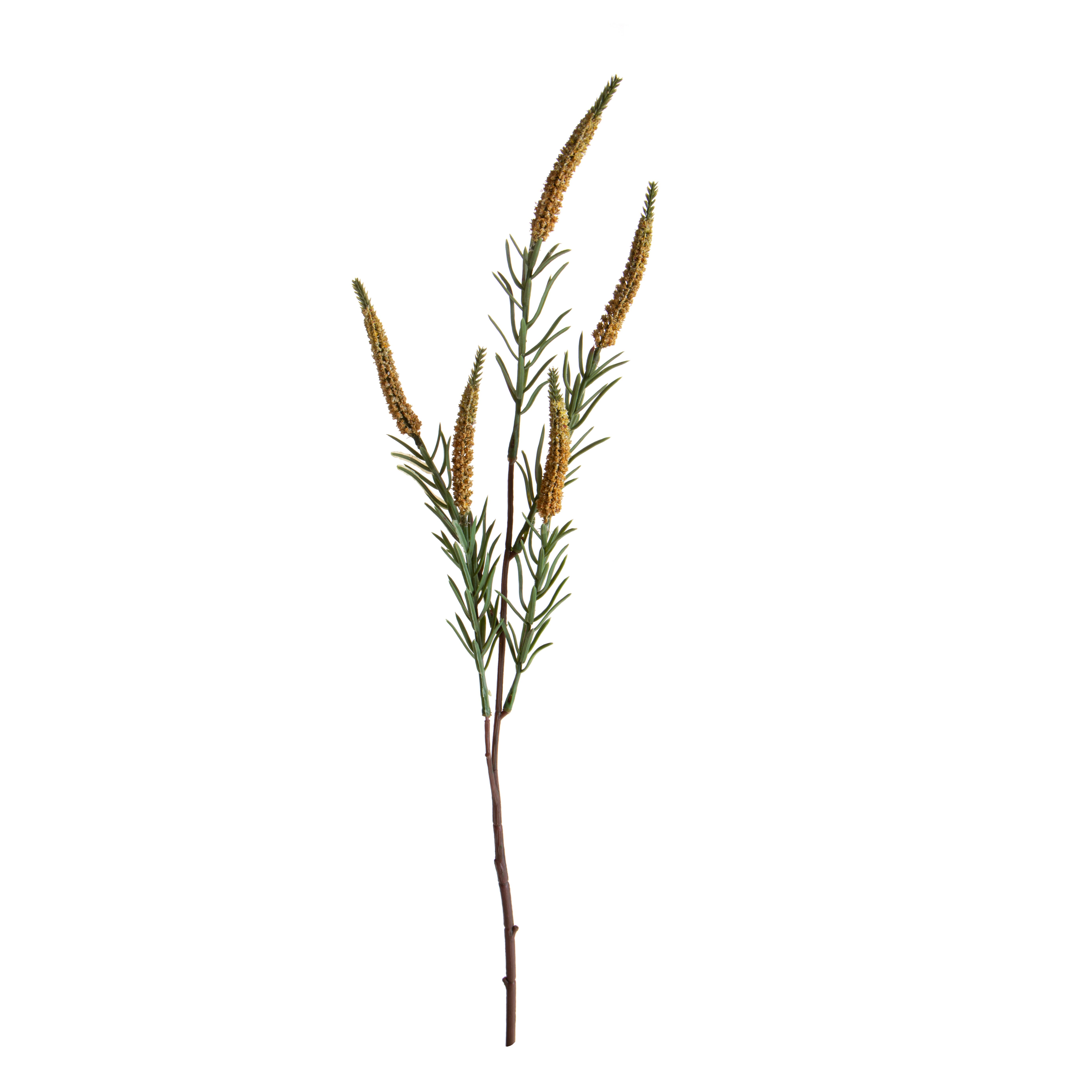 SPIGA X 5 60 CM