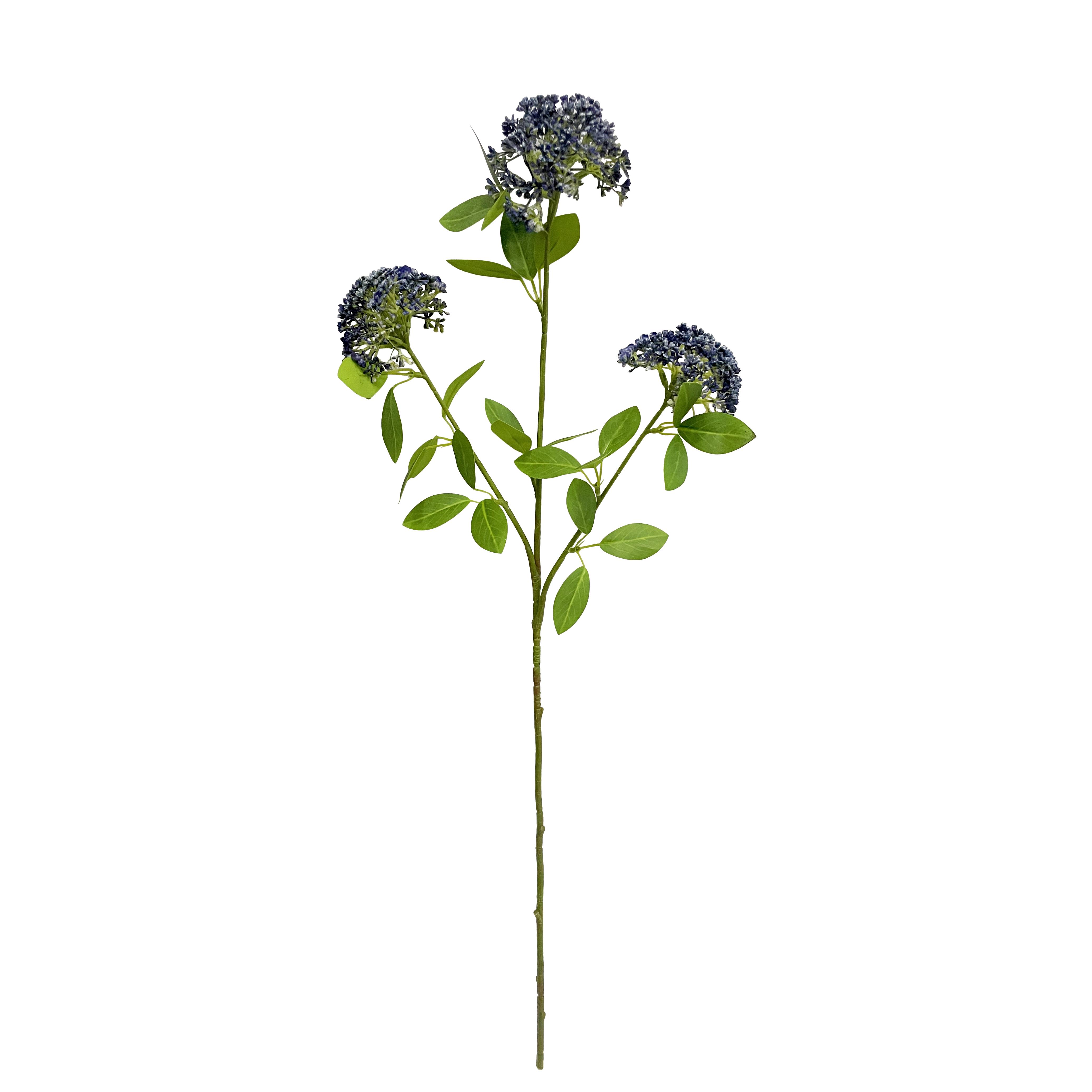 SKIMMIA 80 CM X3 C/3 FIORI E 17 FGL