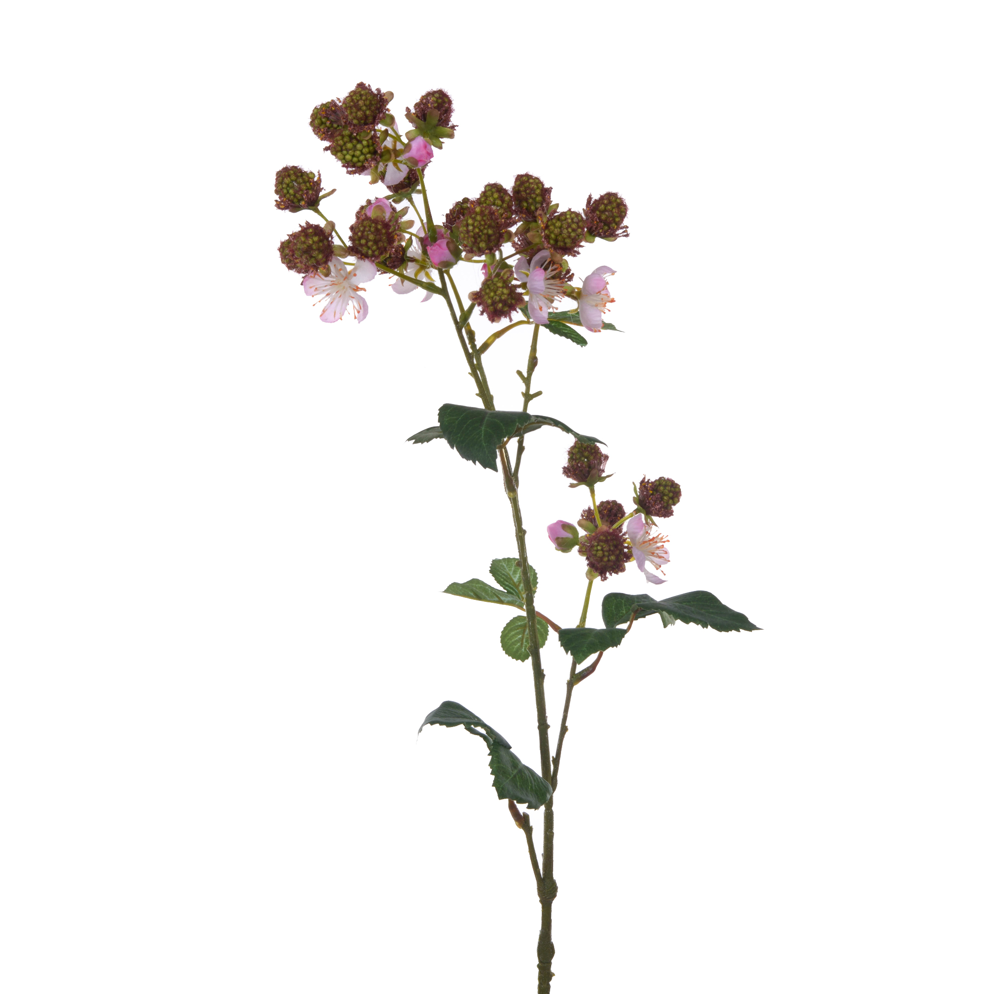 RAMO MORE C/FIORI 78 CM