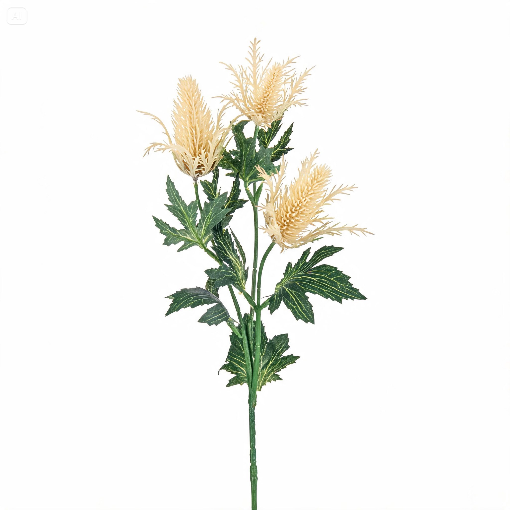 ERINGIUM X 3 68 CM