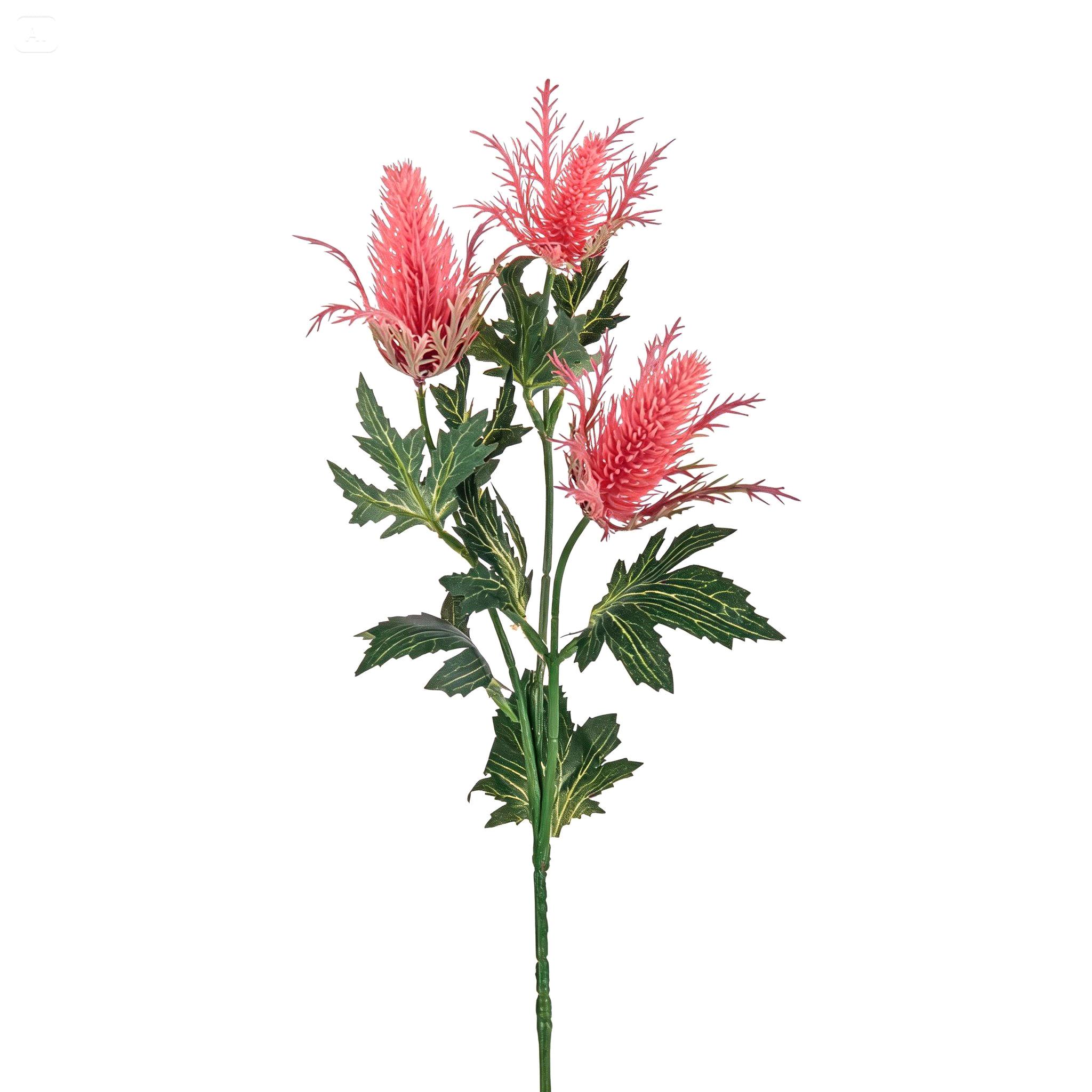 ERINGIUM X 3 68 CM