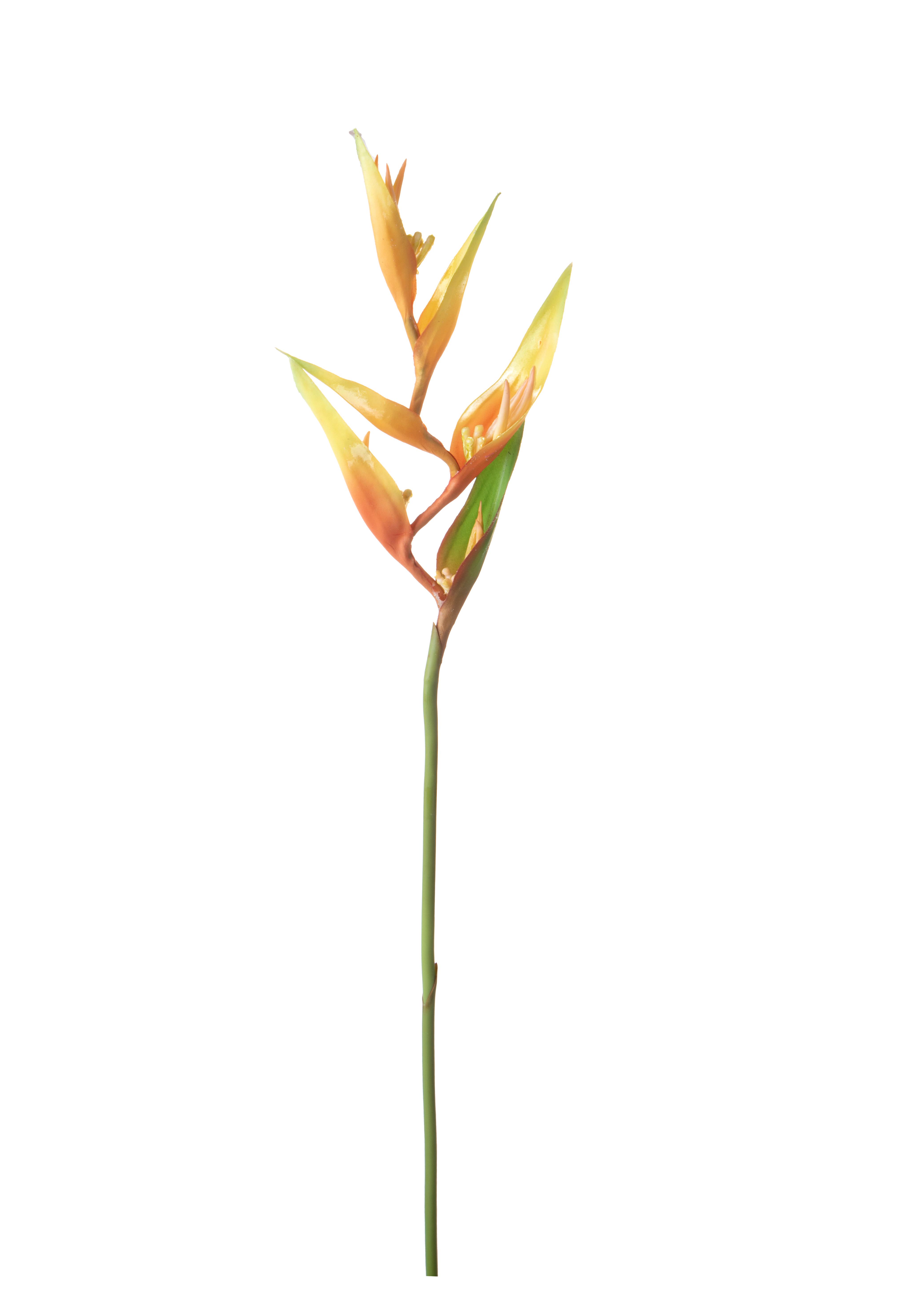 ARTIFICIAL FLOWERS, FLOWERS in stem, HELICONIA 83 CM