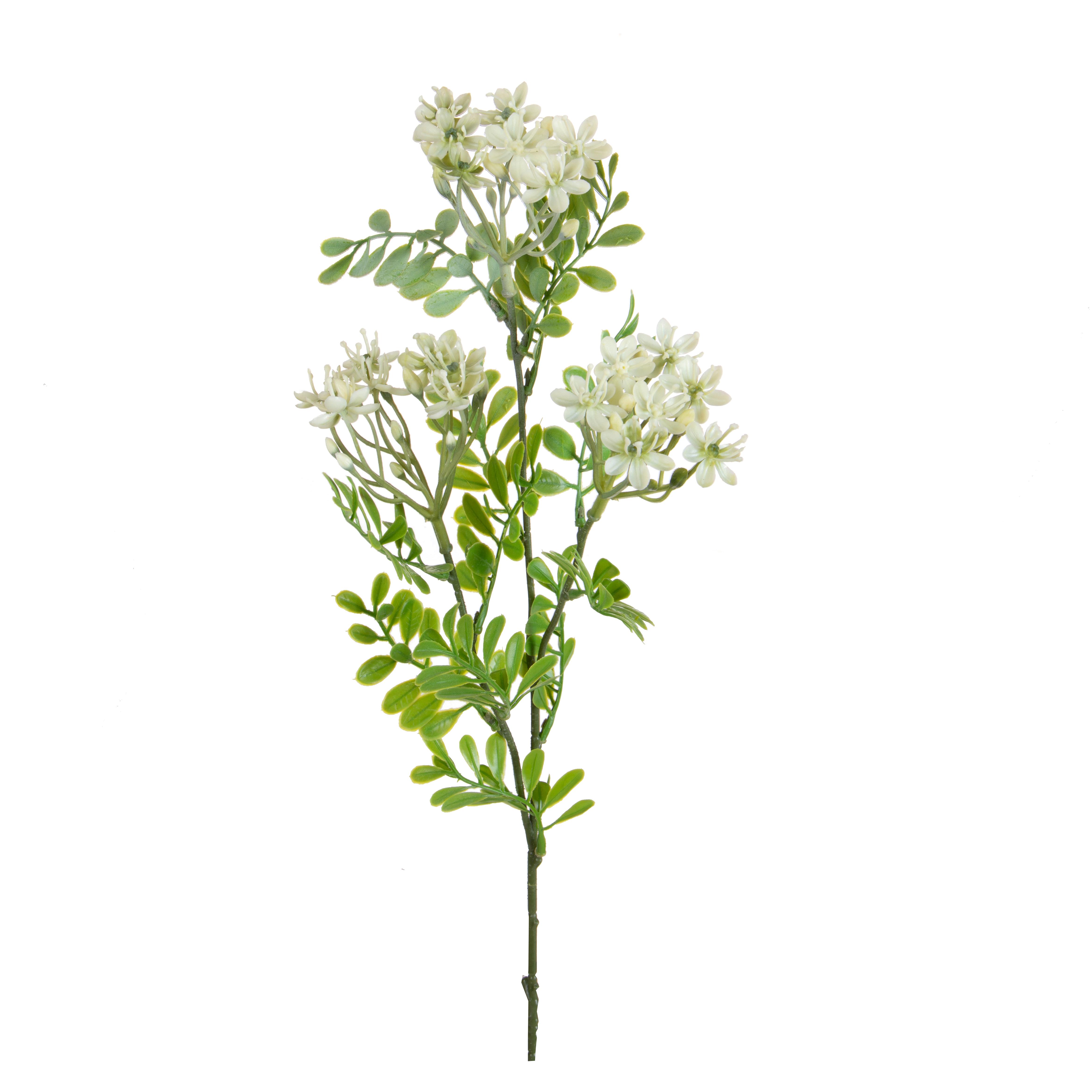 KALANCHOE FIORITA X 3 60 CM