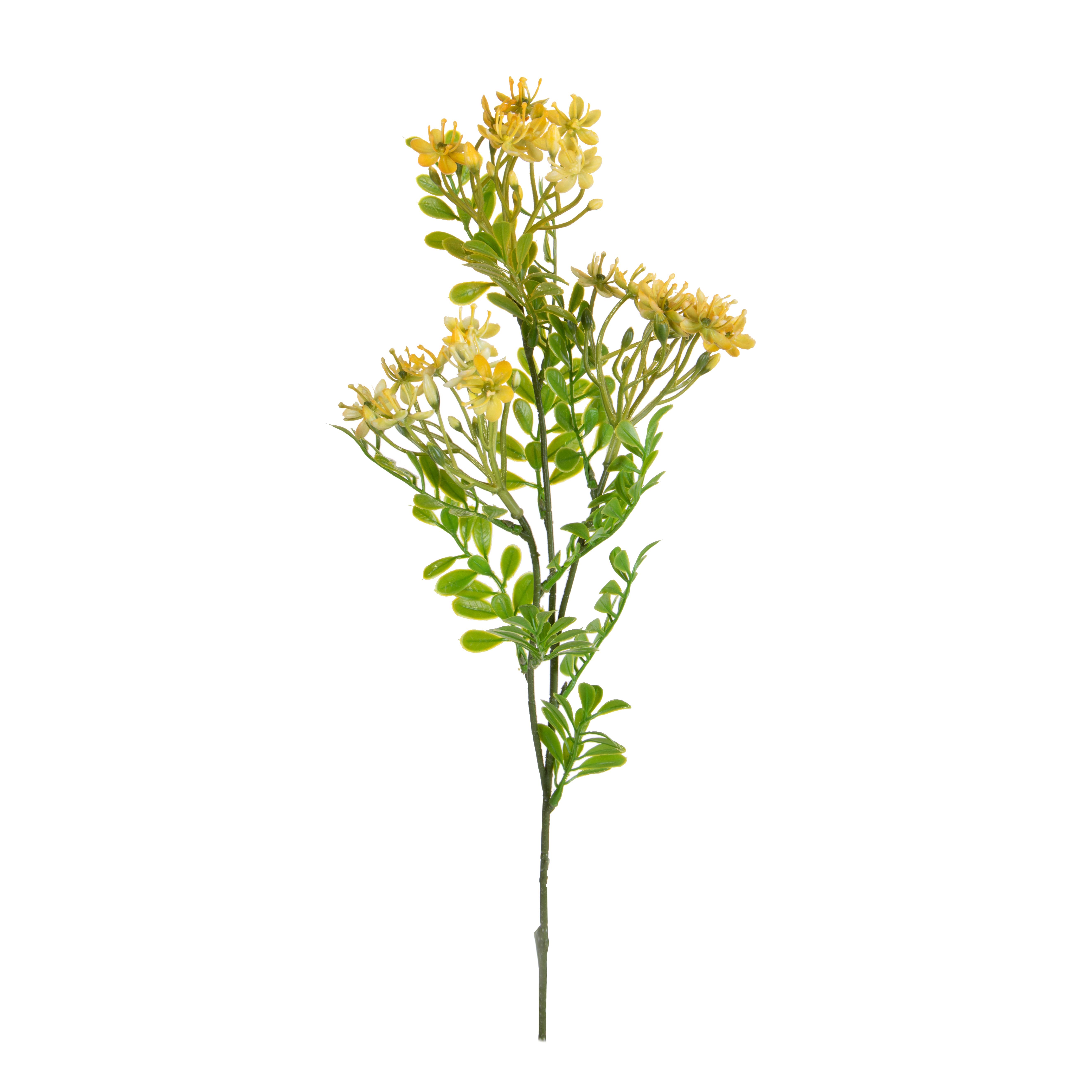 KALANCHOE FIORITA X 3 60 CM