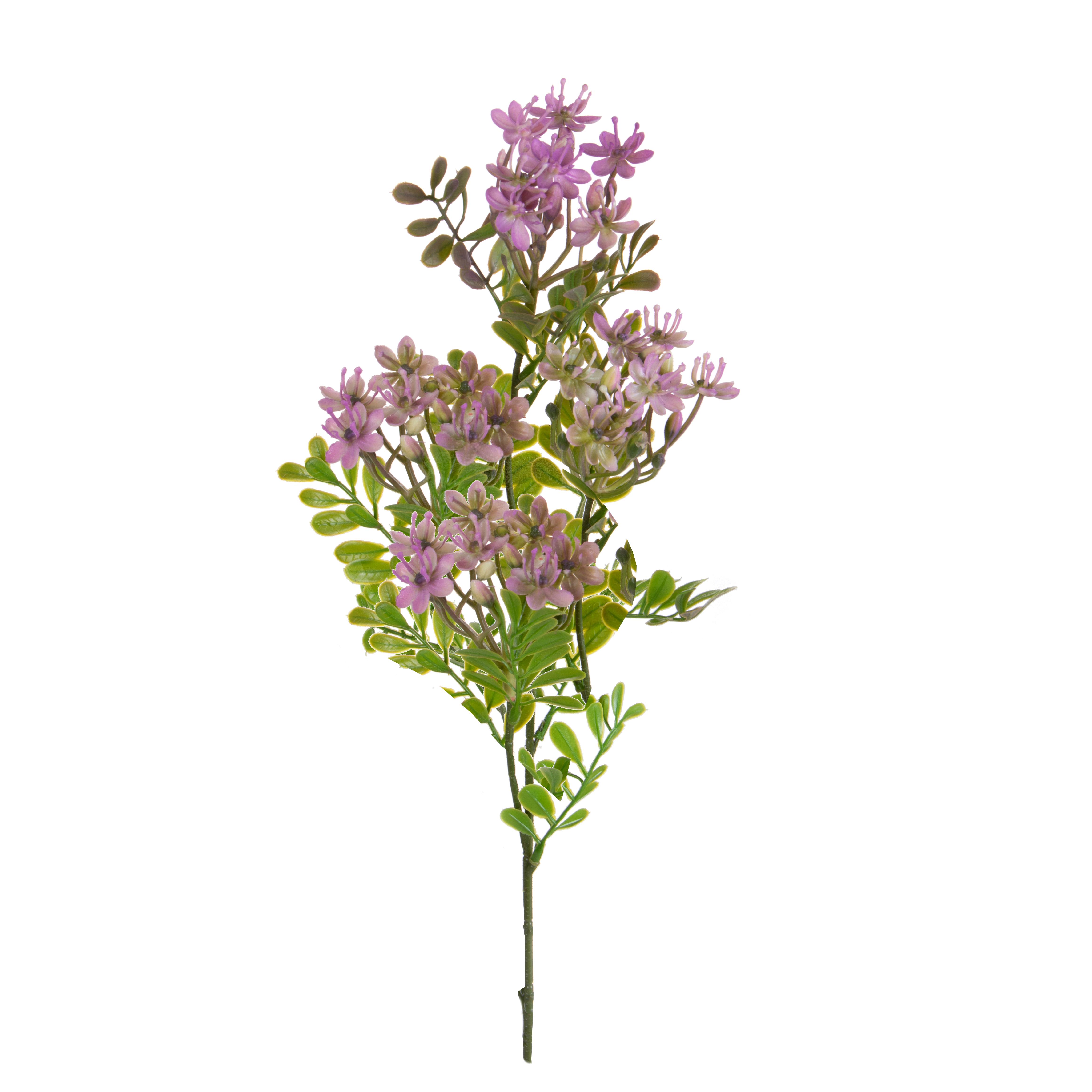 KALANCHOE FIORITA X 3 60 CM