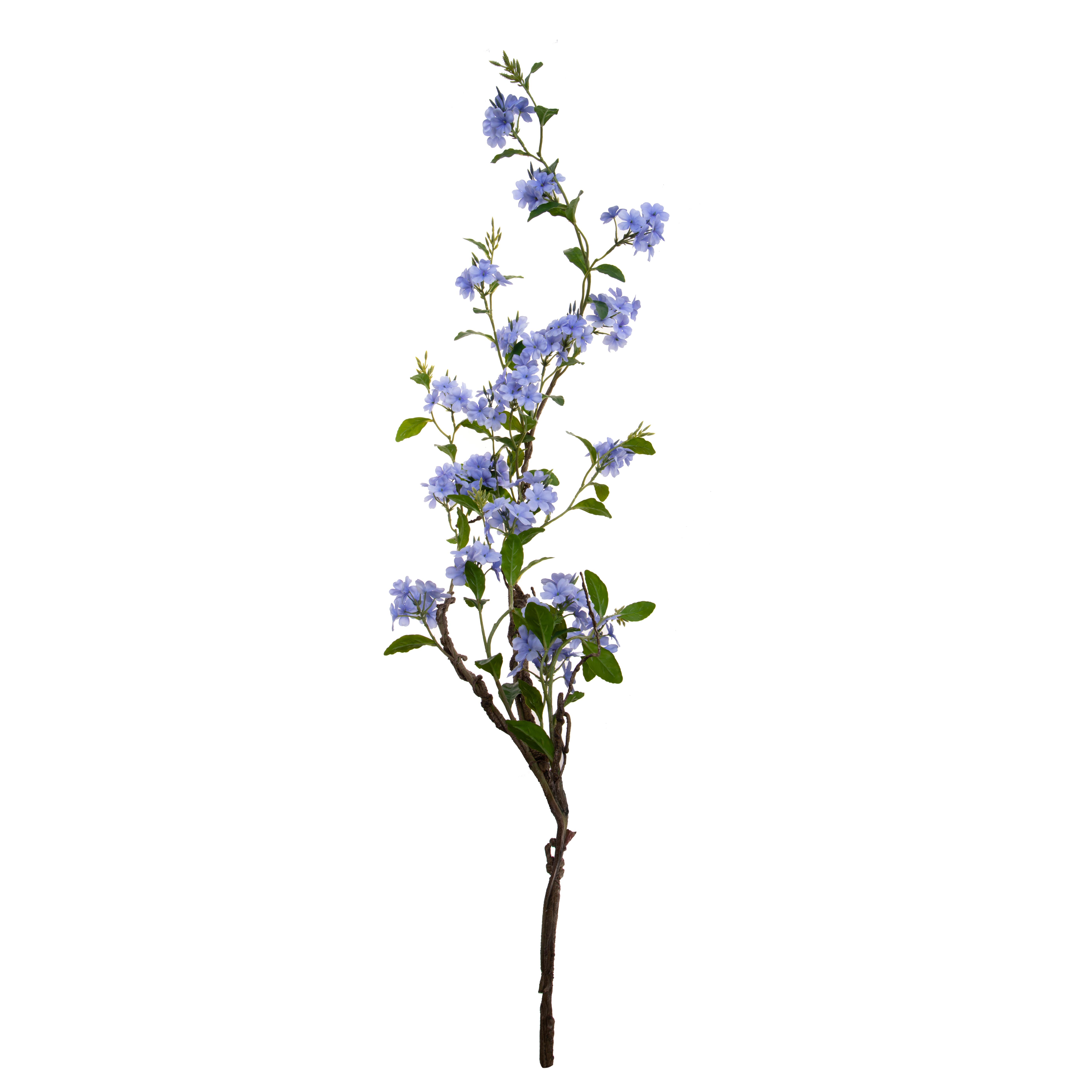 PLUMBAGO 150 CM RAMO C/FIORI