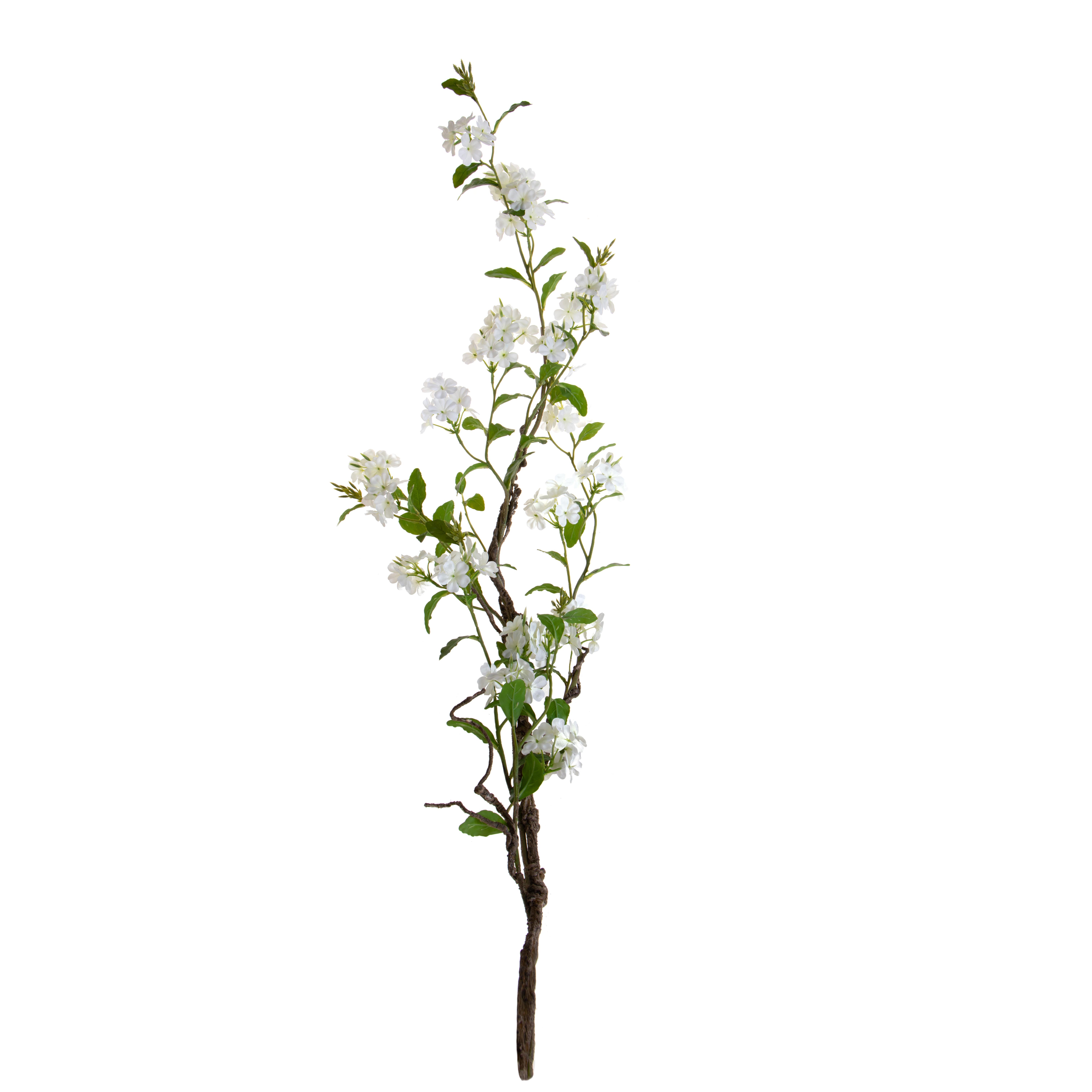 PLUMBAGO 150 CM RAMO C/FIORI