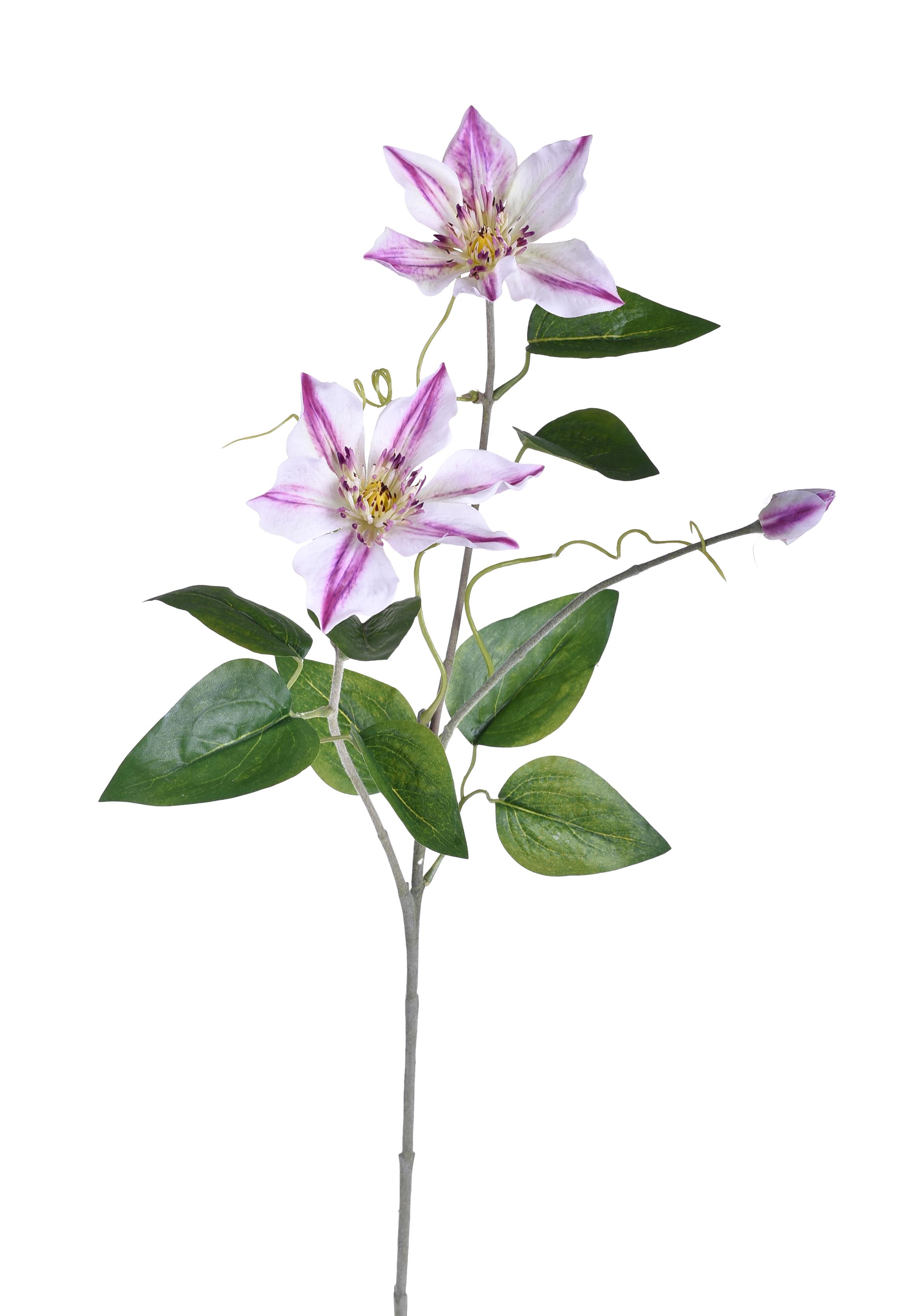 CLEMATIS RAMO 2 FIORI 76 CM